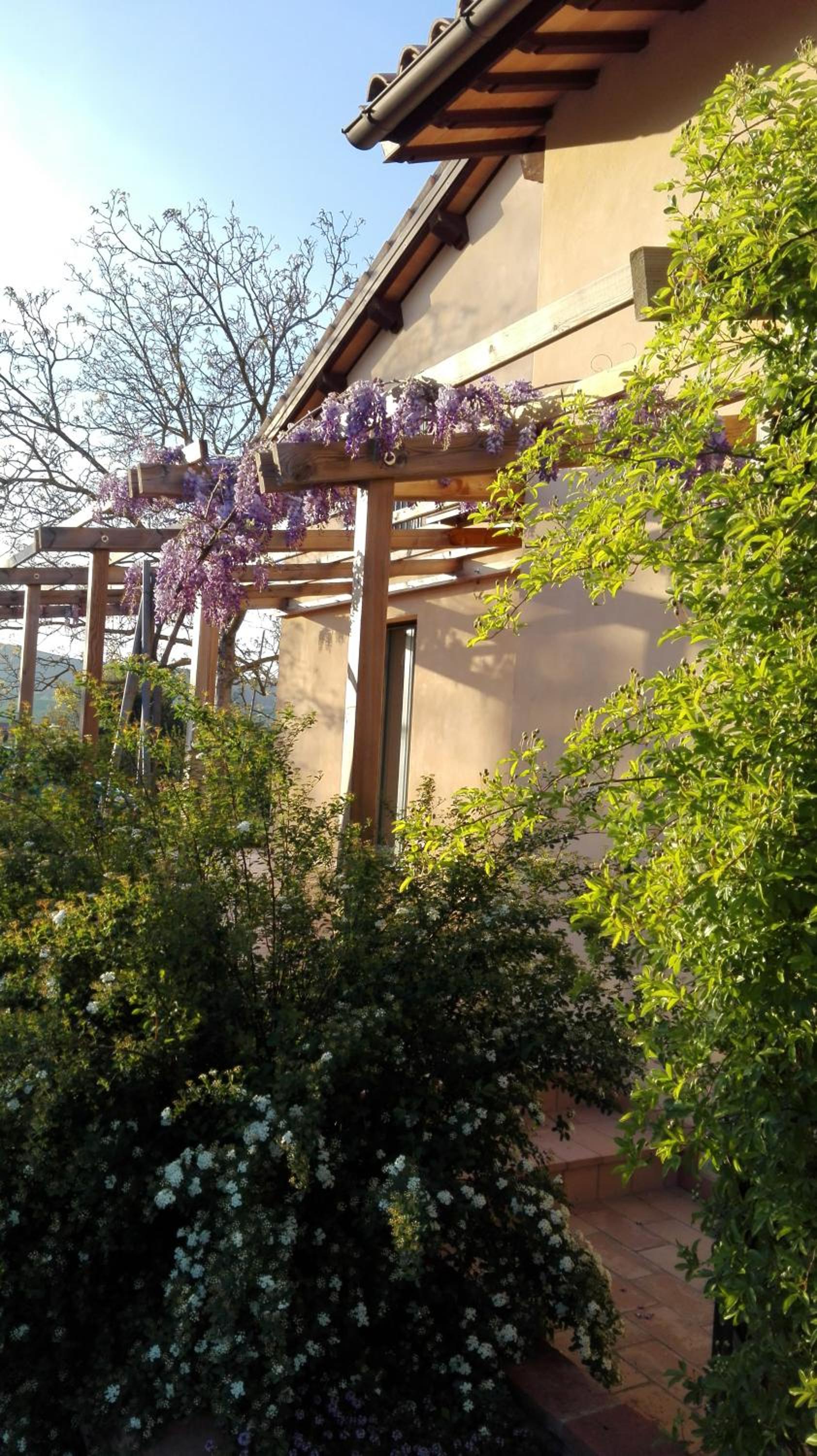 B&B Antegiano view 5