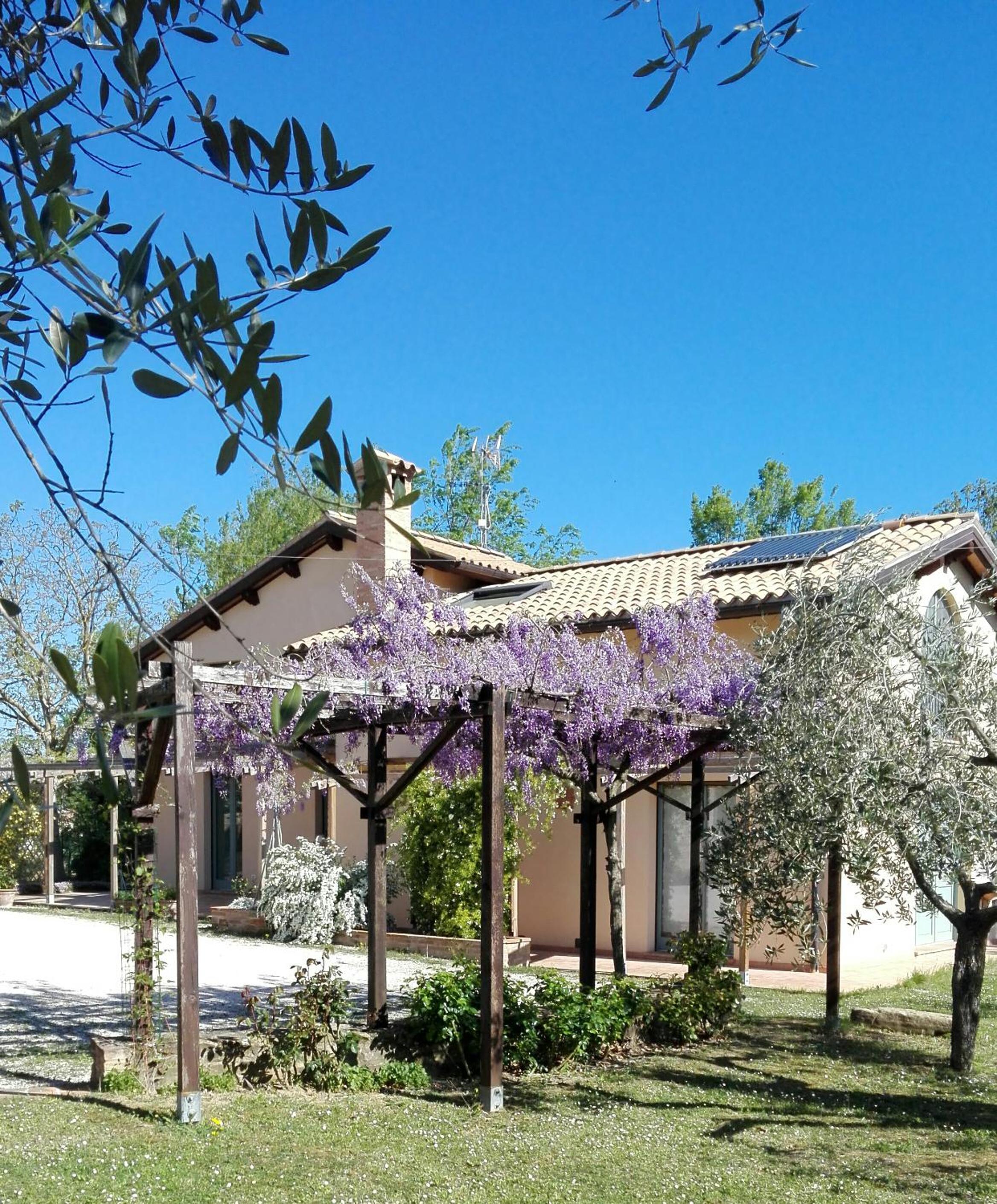B&B Antegiano view 2