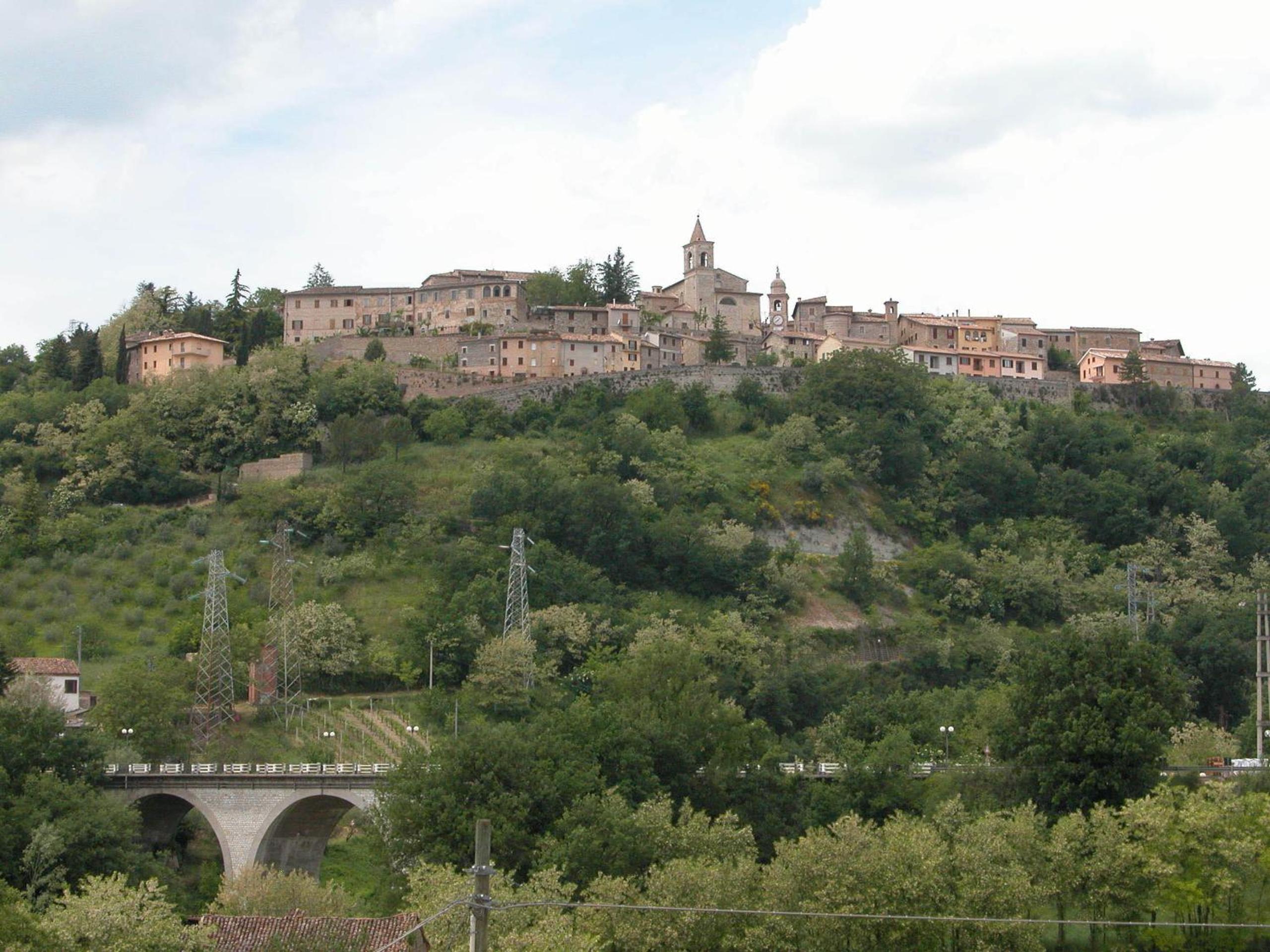 Photo 47