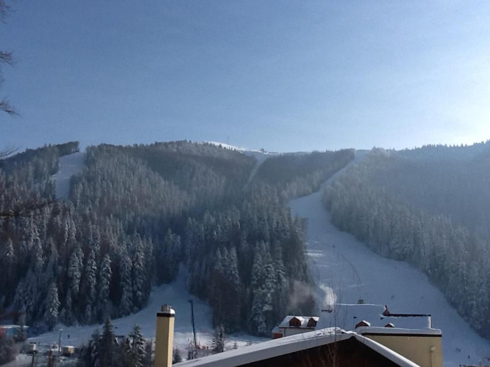Snow Residence Azuga view 3