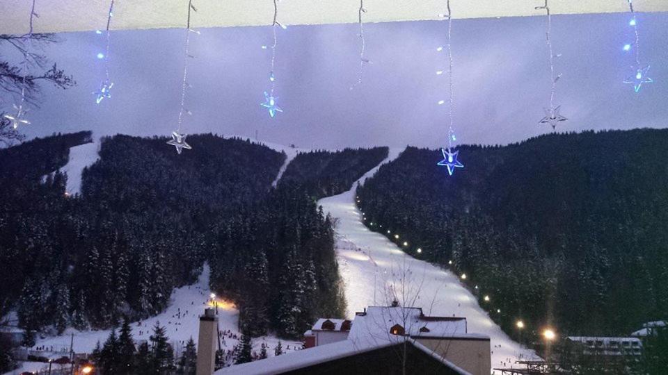 Snow Residence Azuga view 2