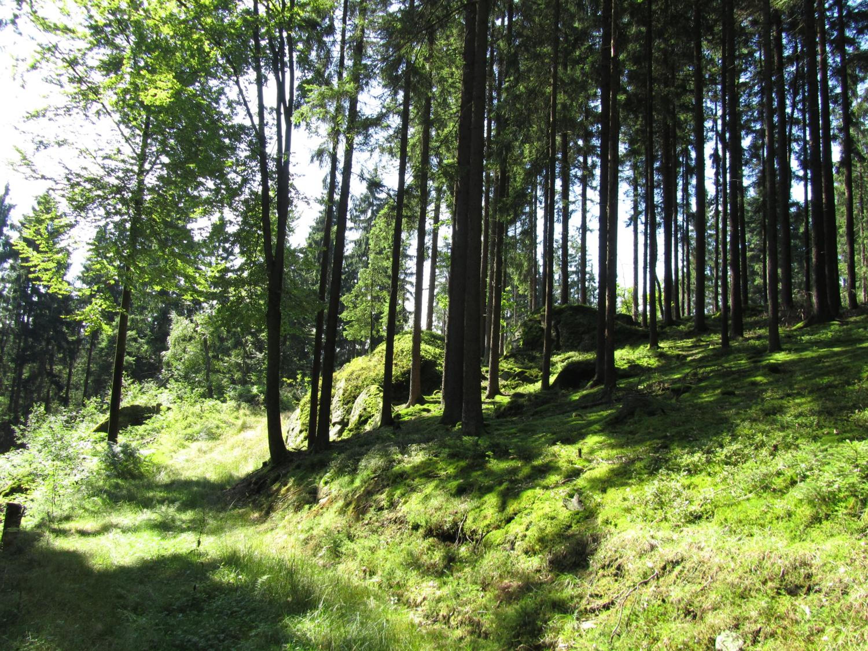 Ferienhaus Zopfhäusl