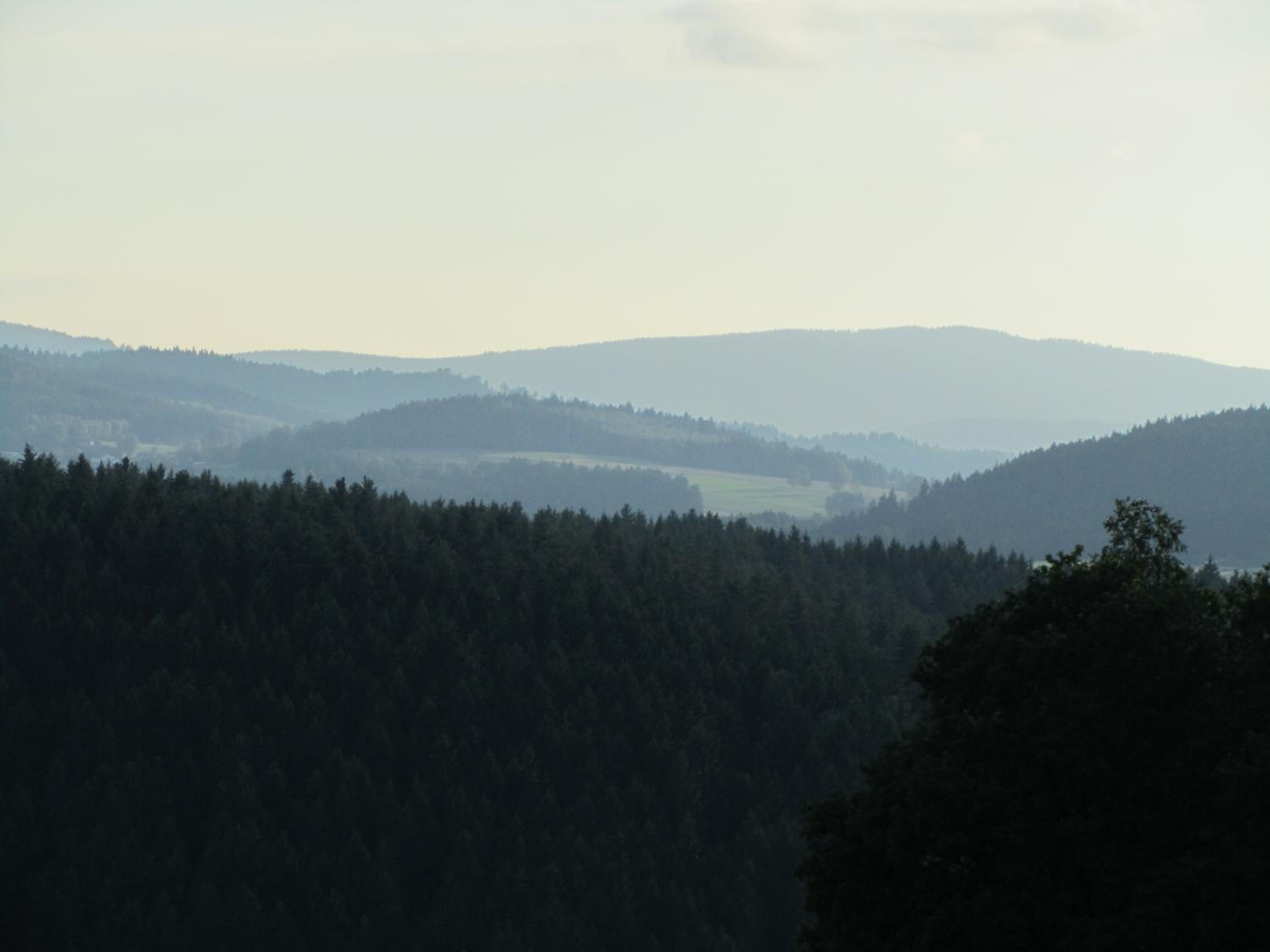 Ferienhaus Zopfhäusl