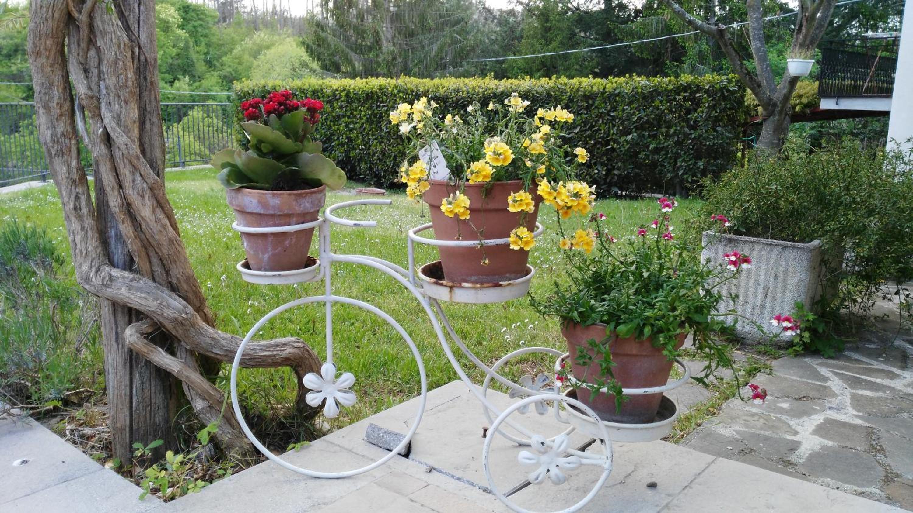 Photo 47