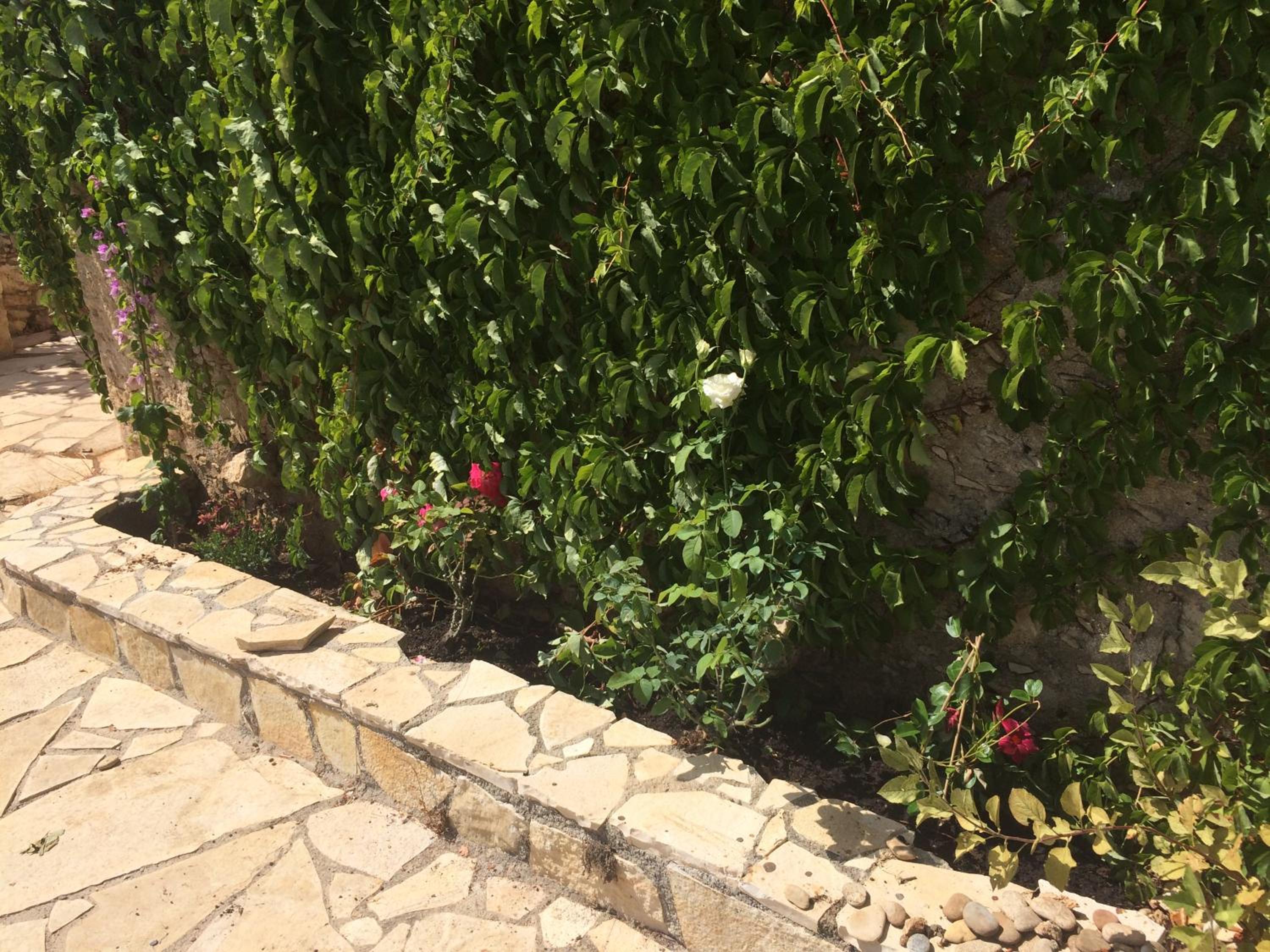 Anna's Stone House