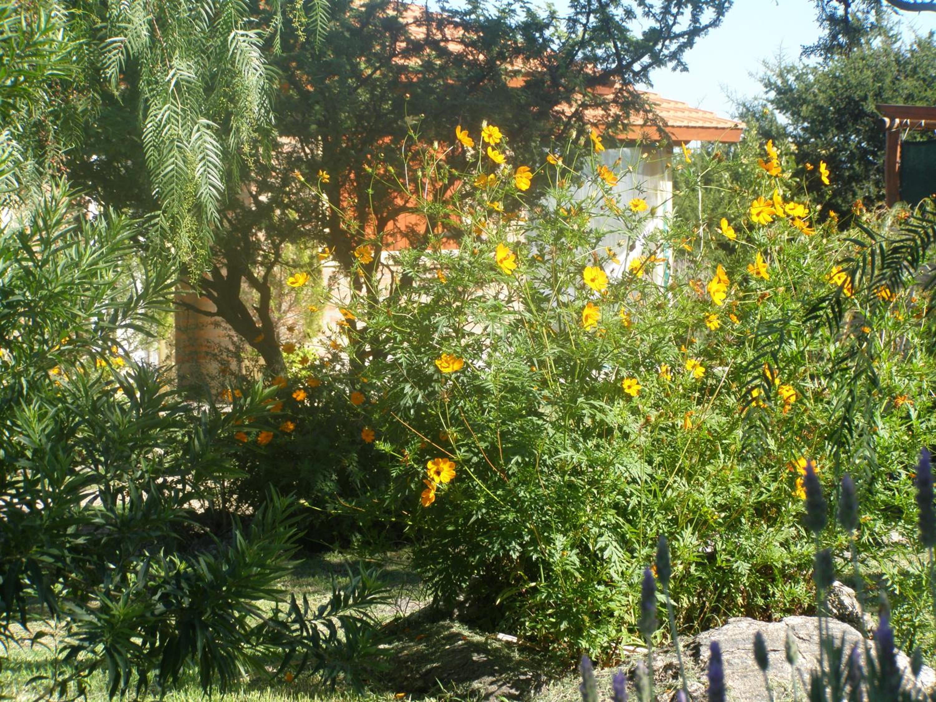 Cabañas Valentina