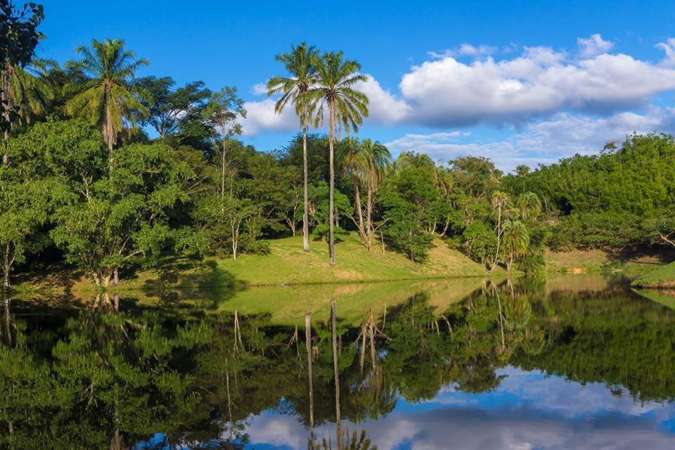Fazenda Cachoeira Grande