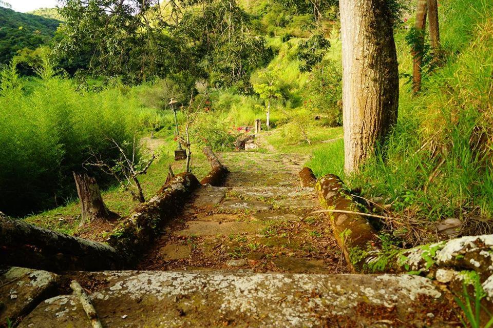 Fazenda Cachoeira Grande
