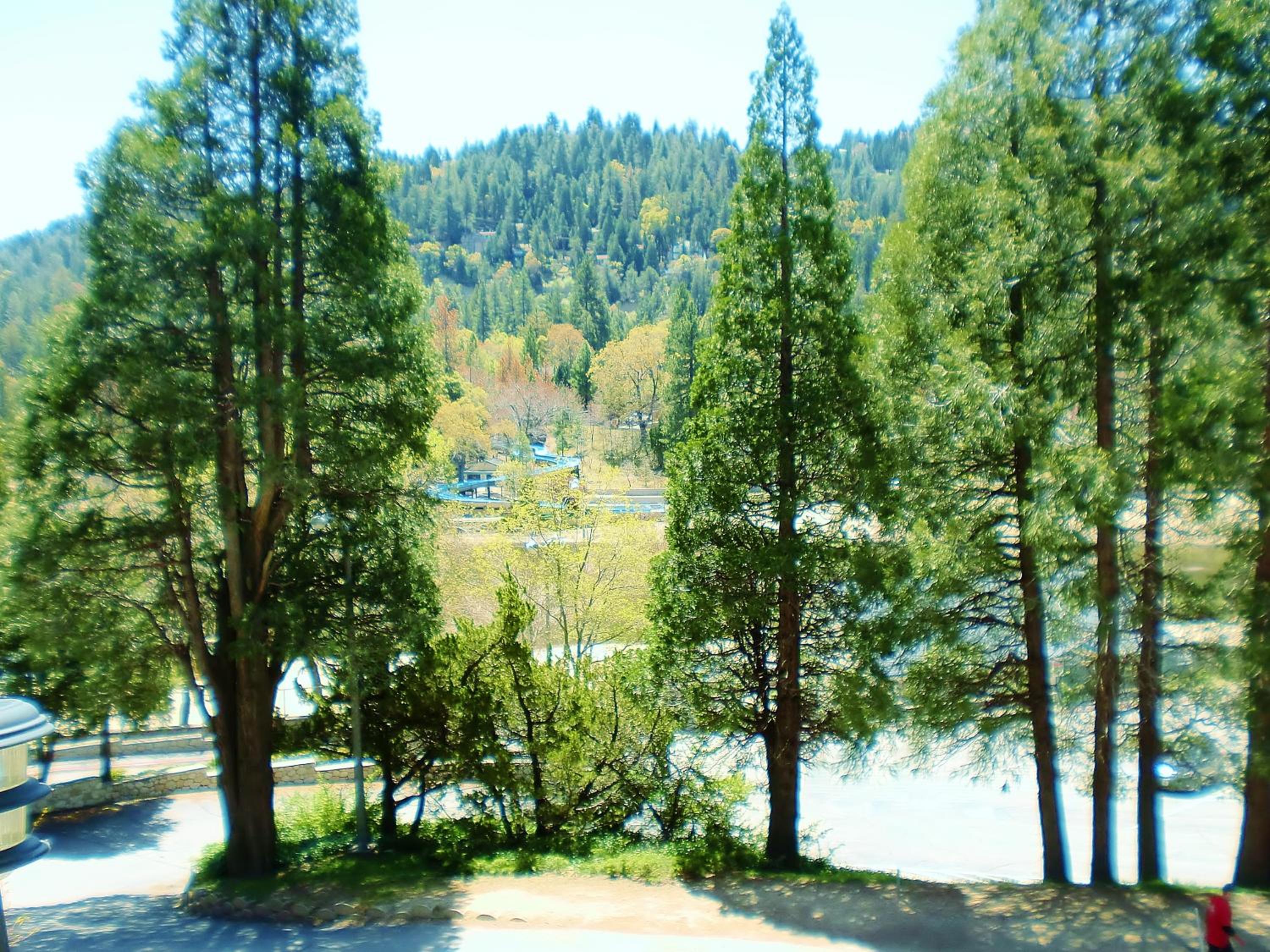 The North Shore Inn
