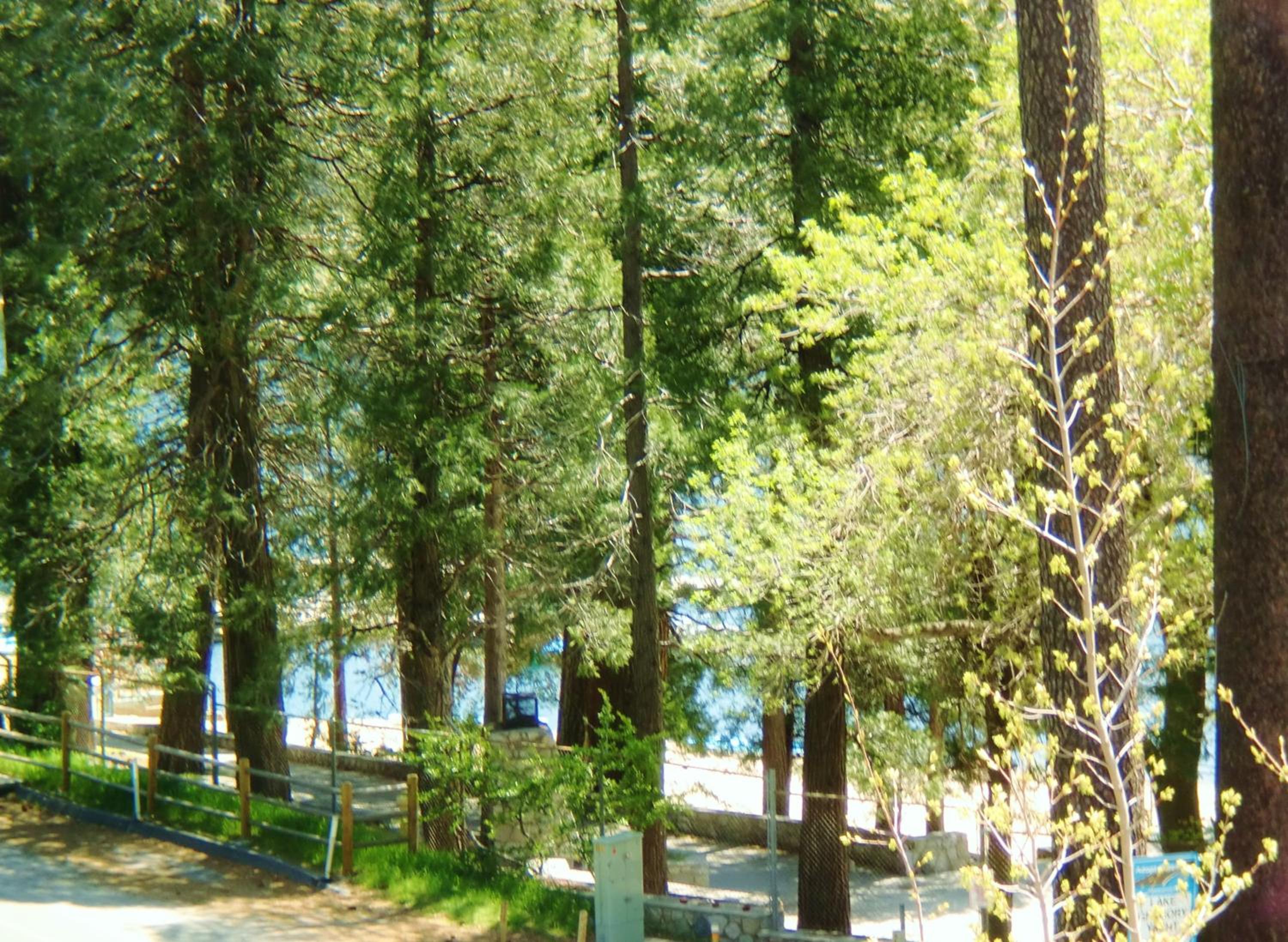 The North Shore Inn
