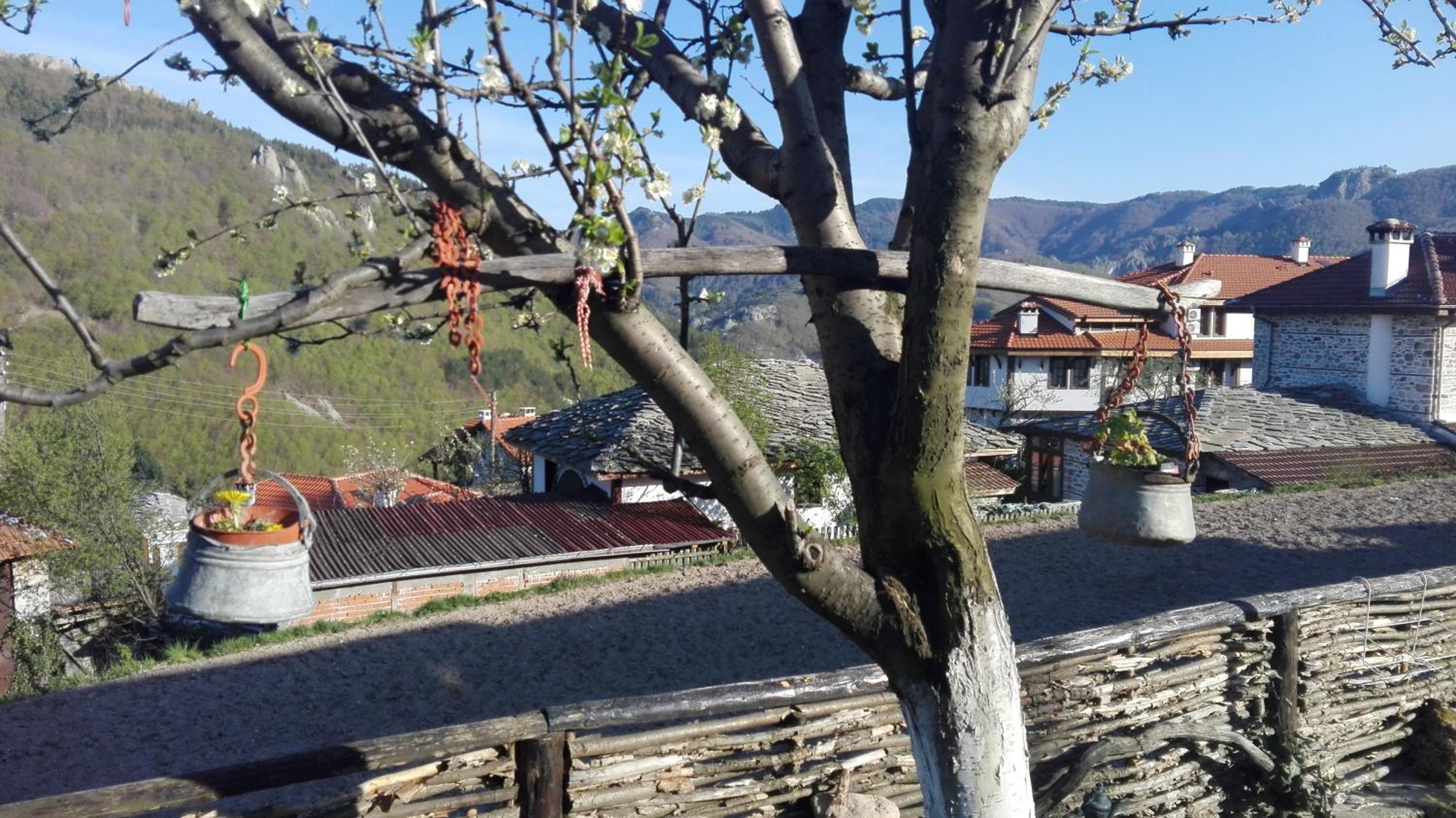 Semana Guesthouse