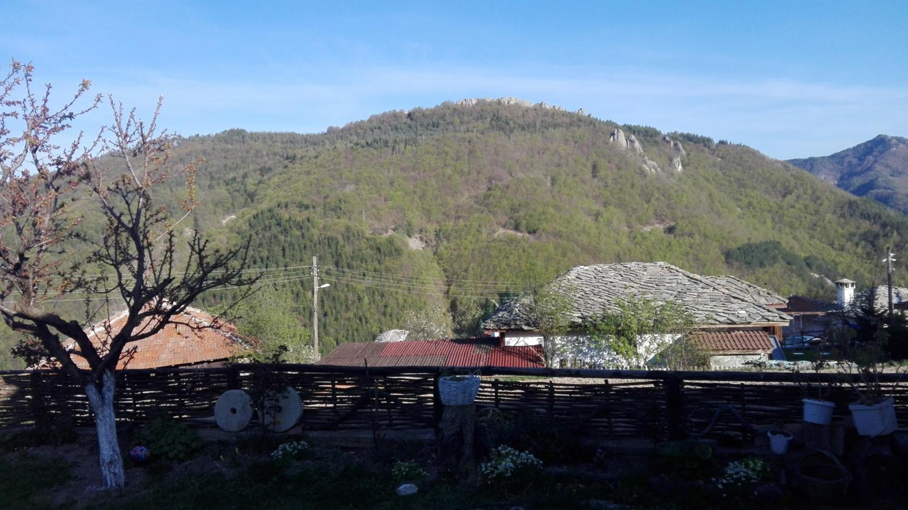 Semana Guesthouse