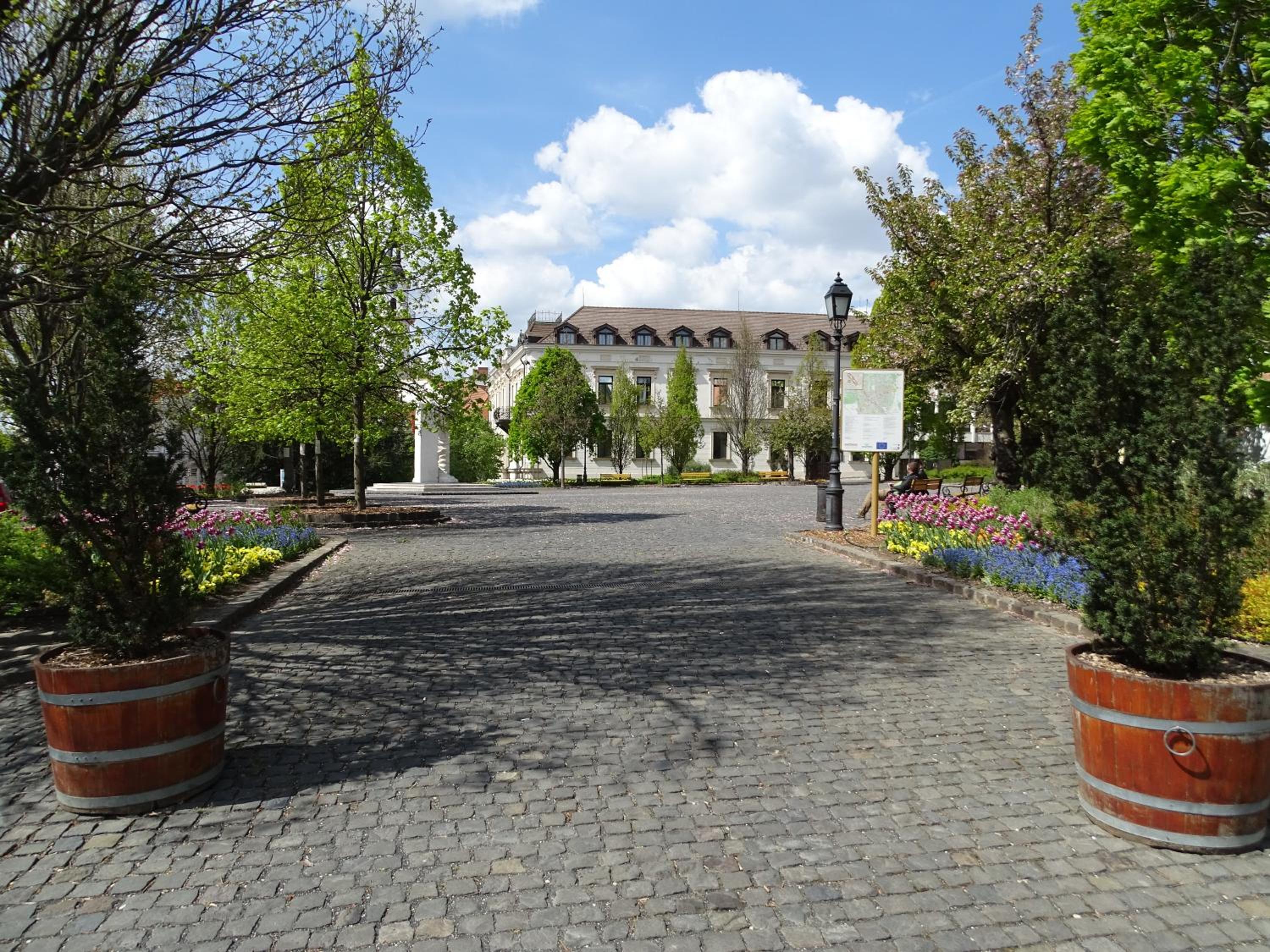 Photo 15