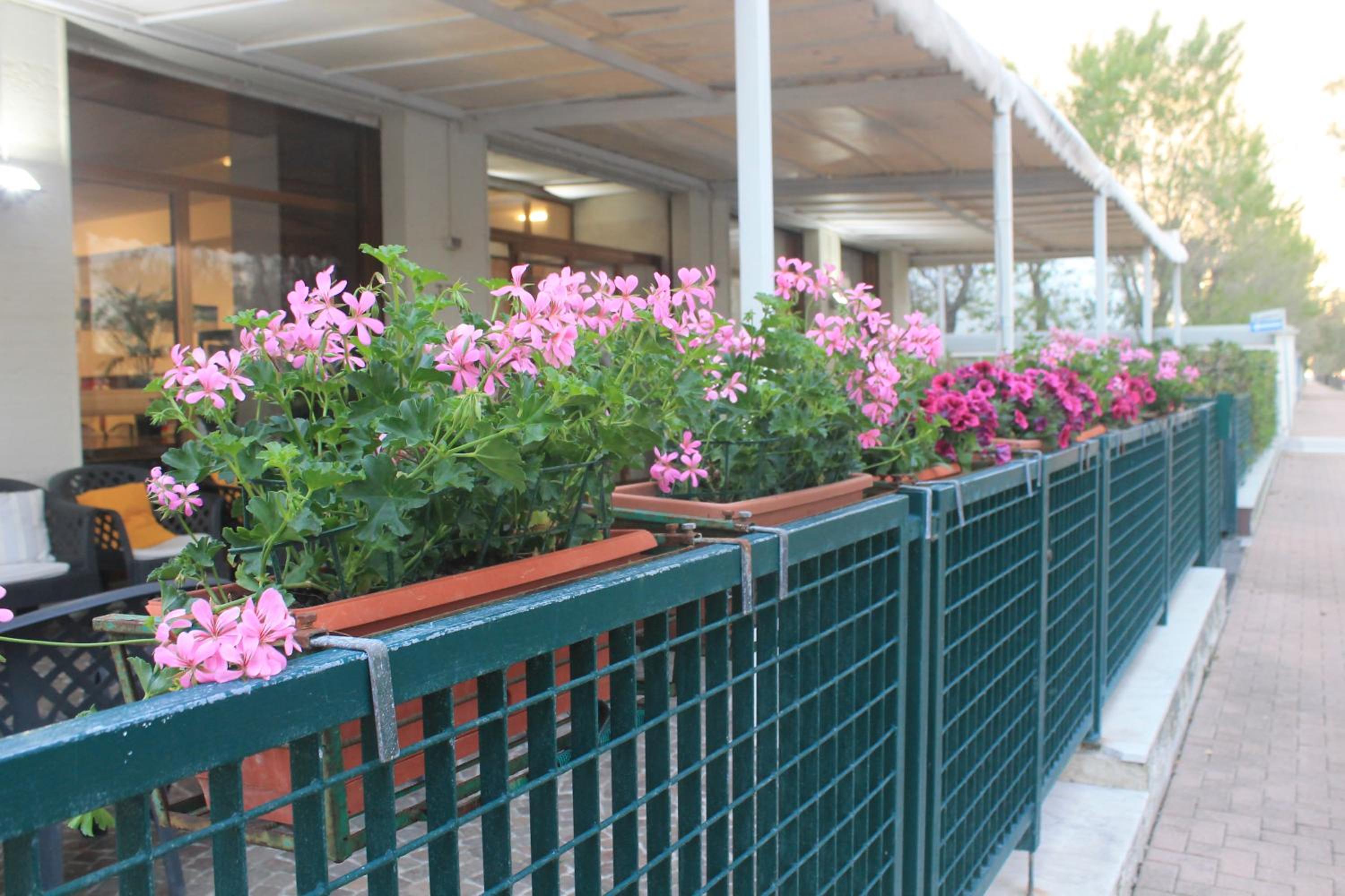 Hotel Mare, photo 48