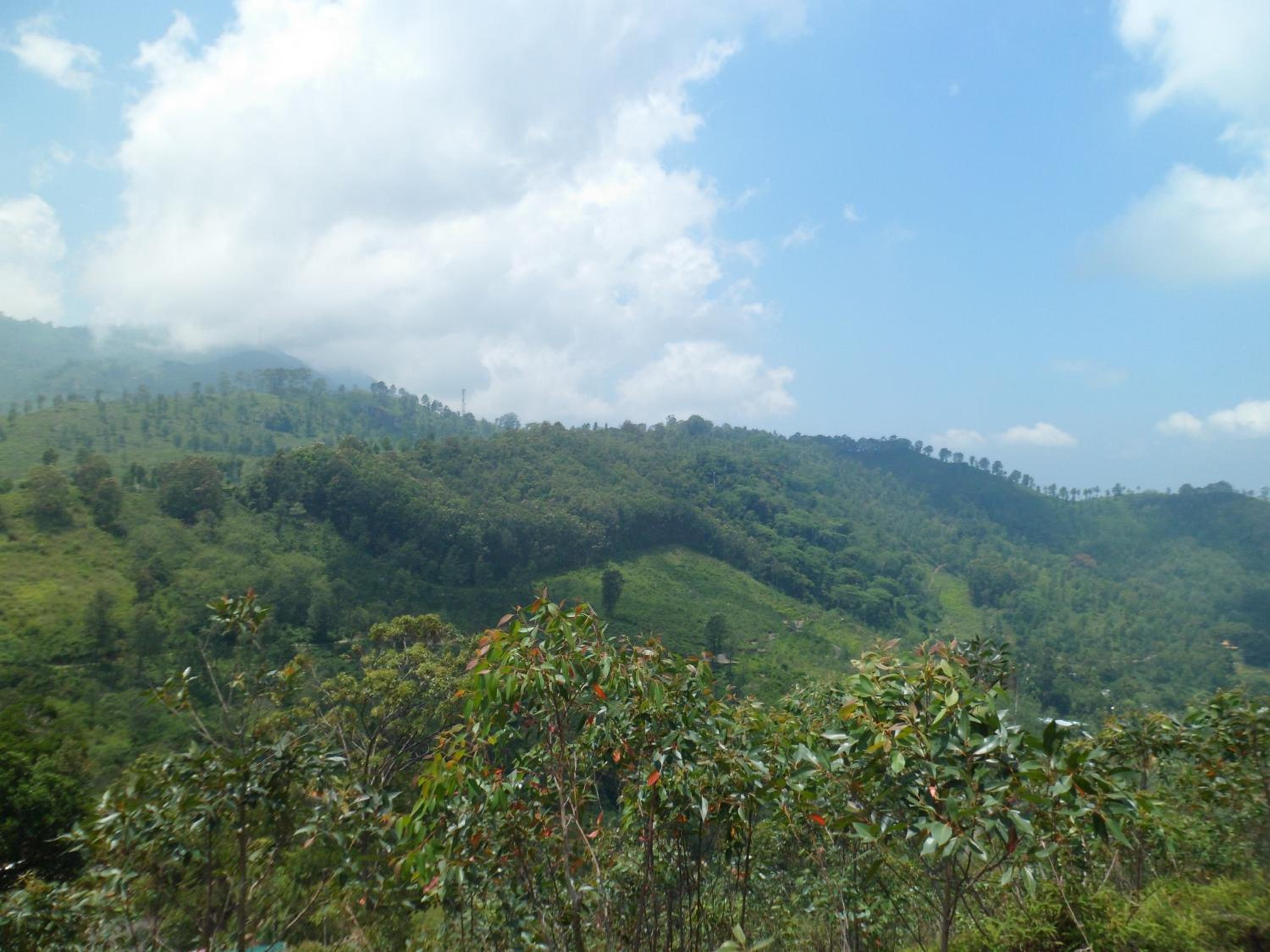 Photo 45