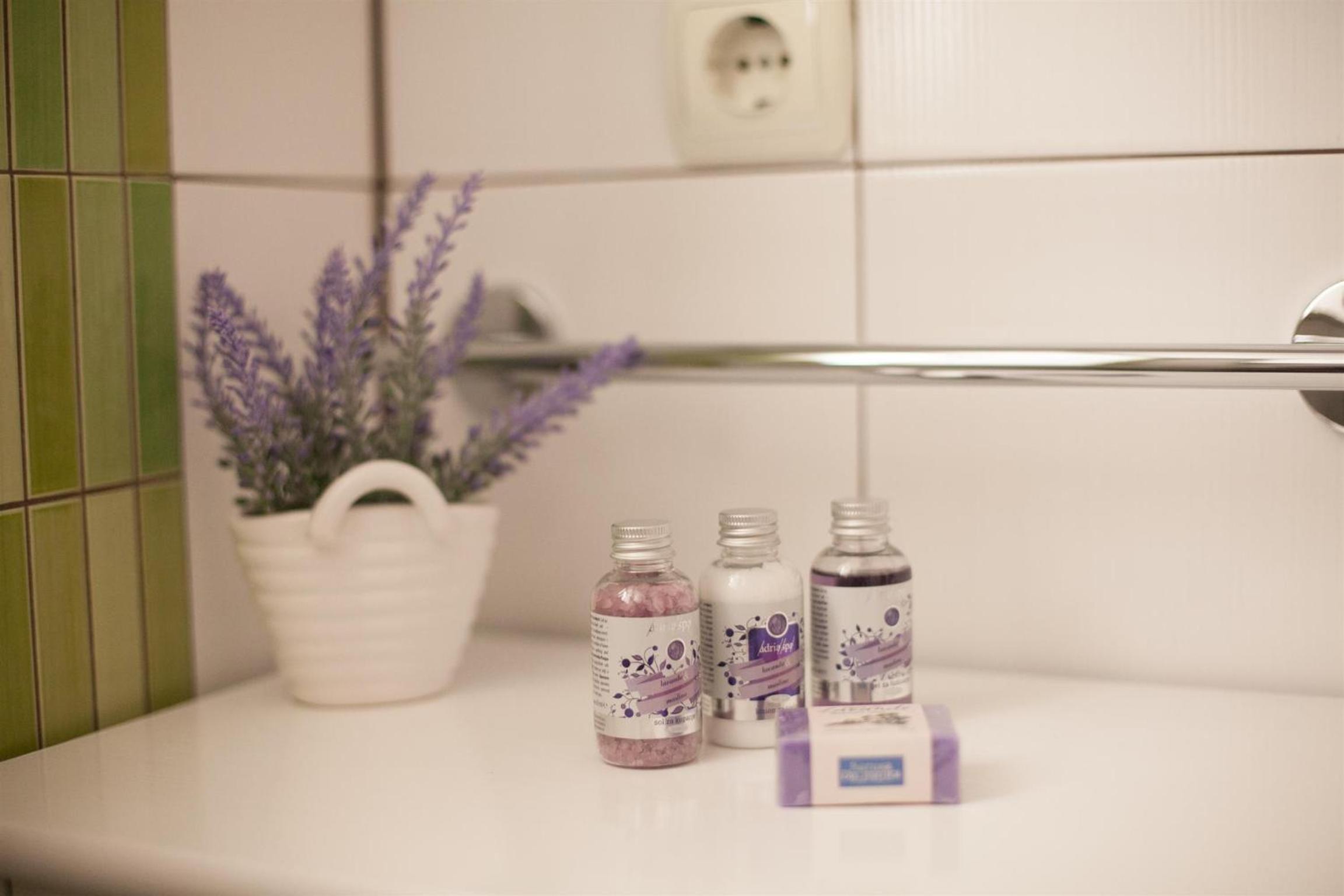 Apartment & Room Ursa