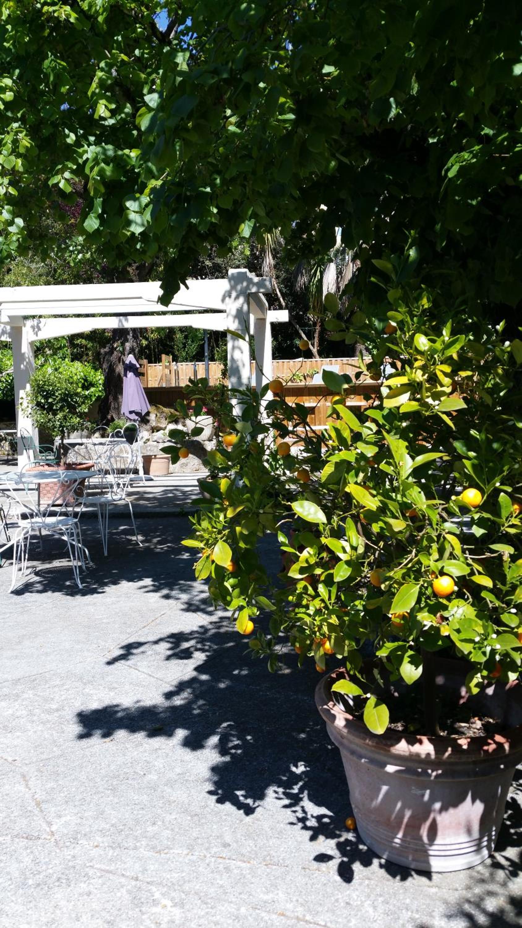 Le Clos du Loup, photo 8