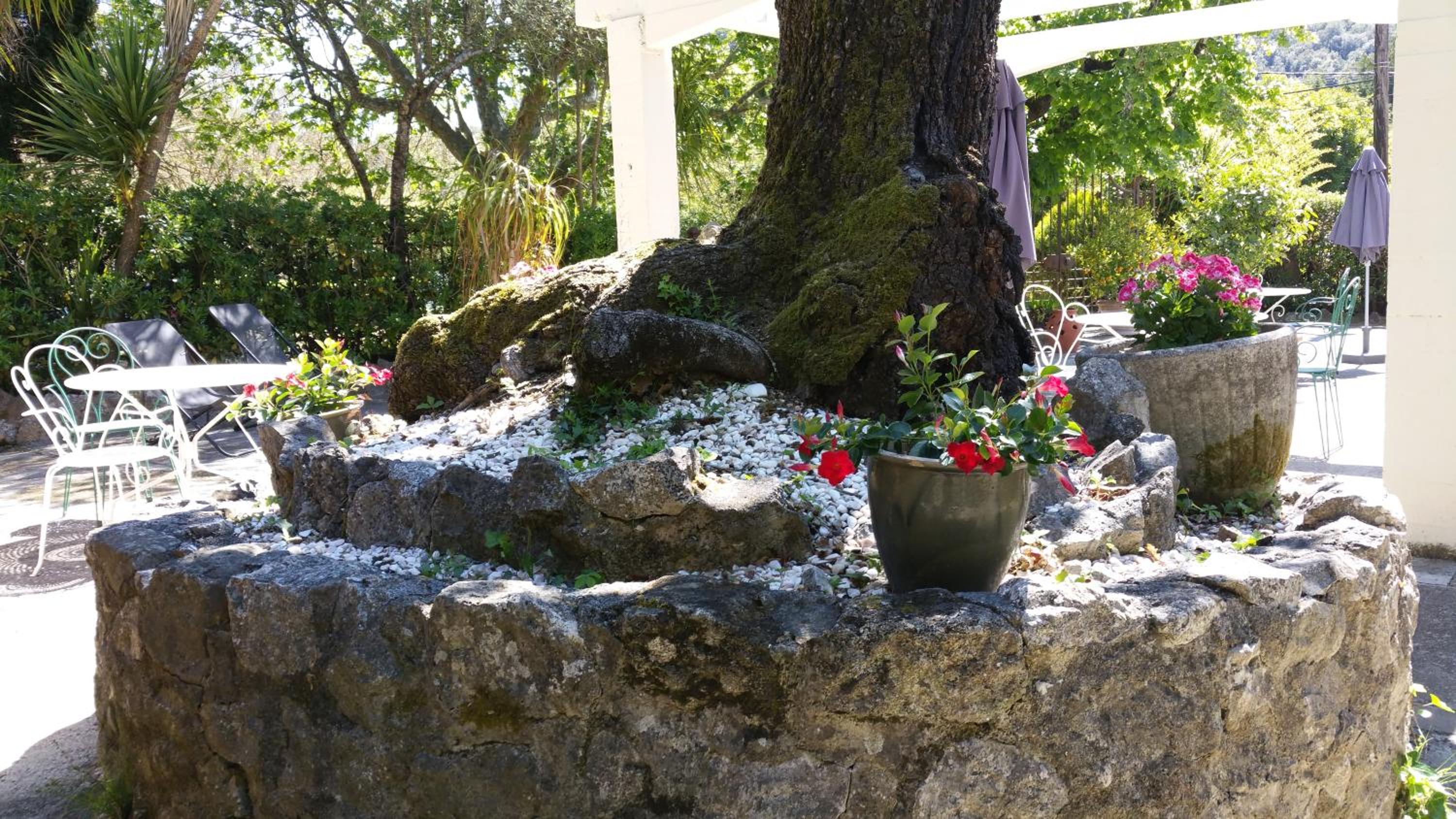 Le Clos du Loup, photo 51