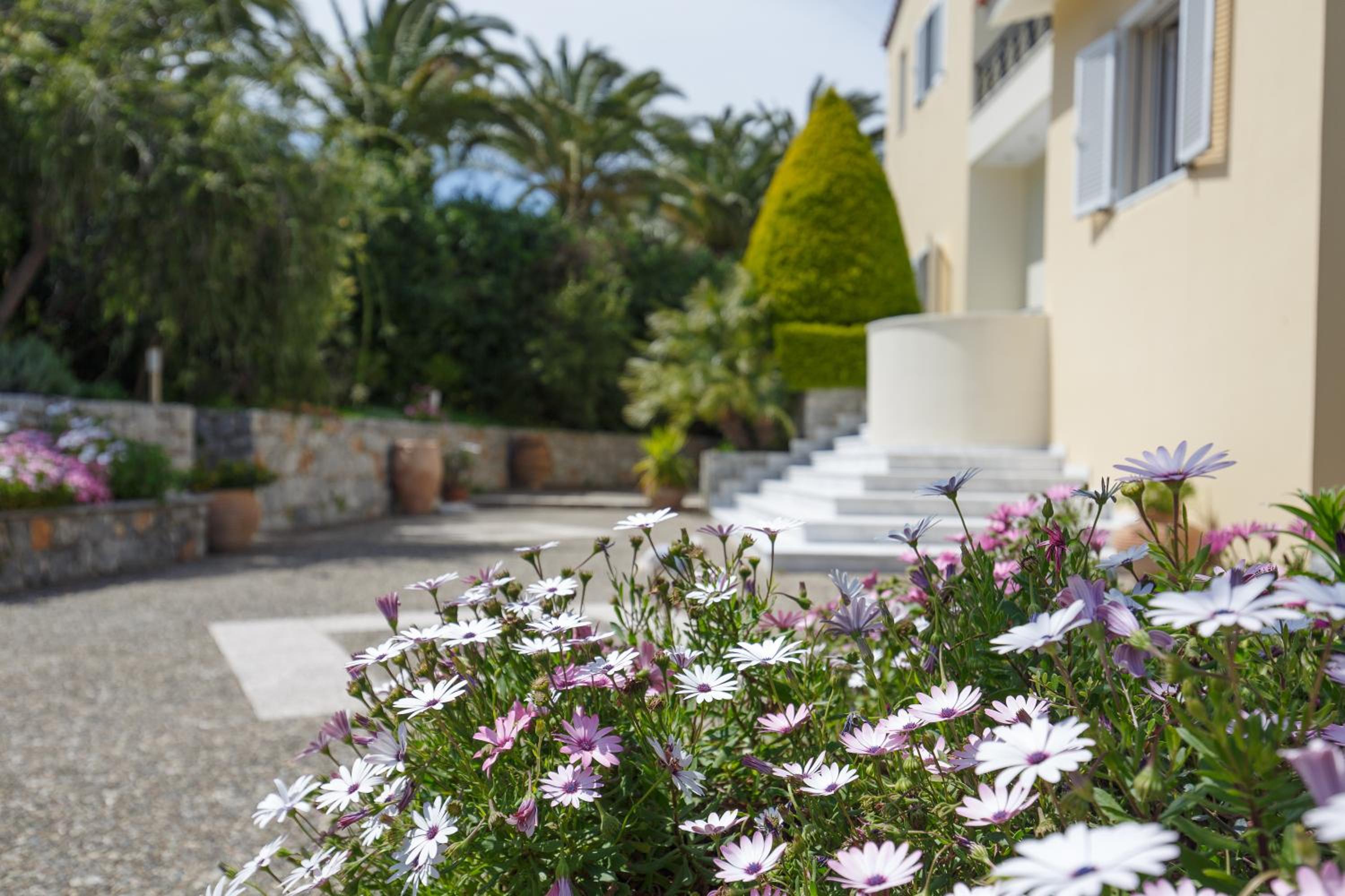 Villa Simore