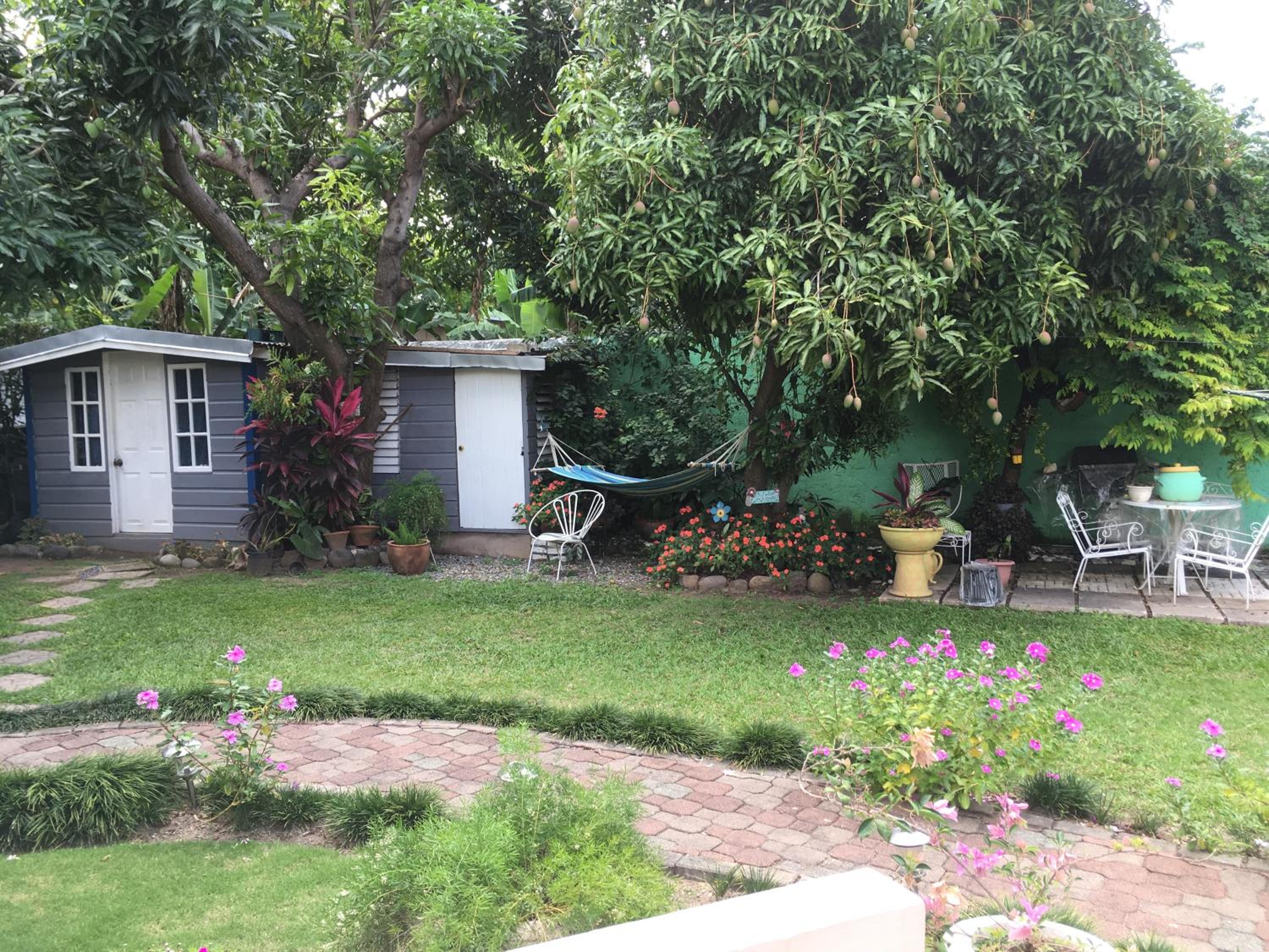 Photo 13