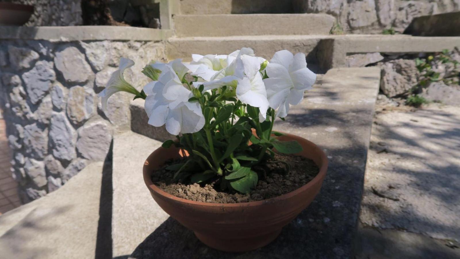 B&B Villa Reginella