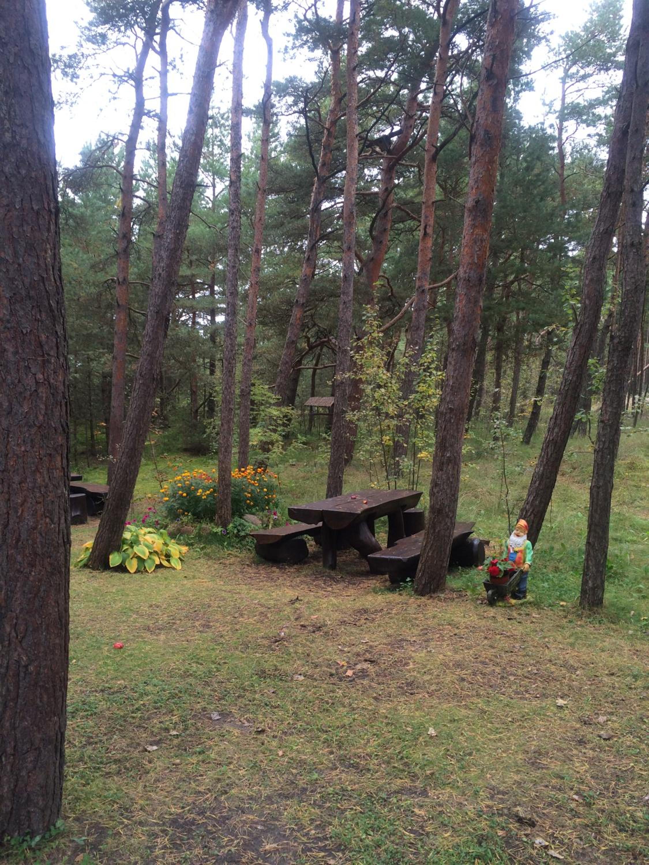 Photo 20