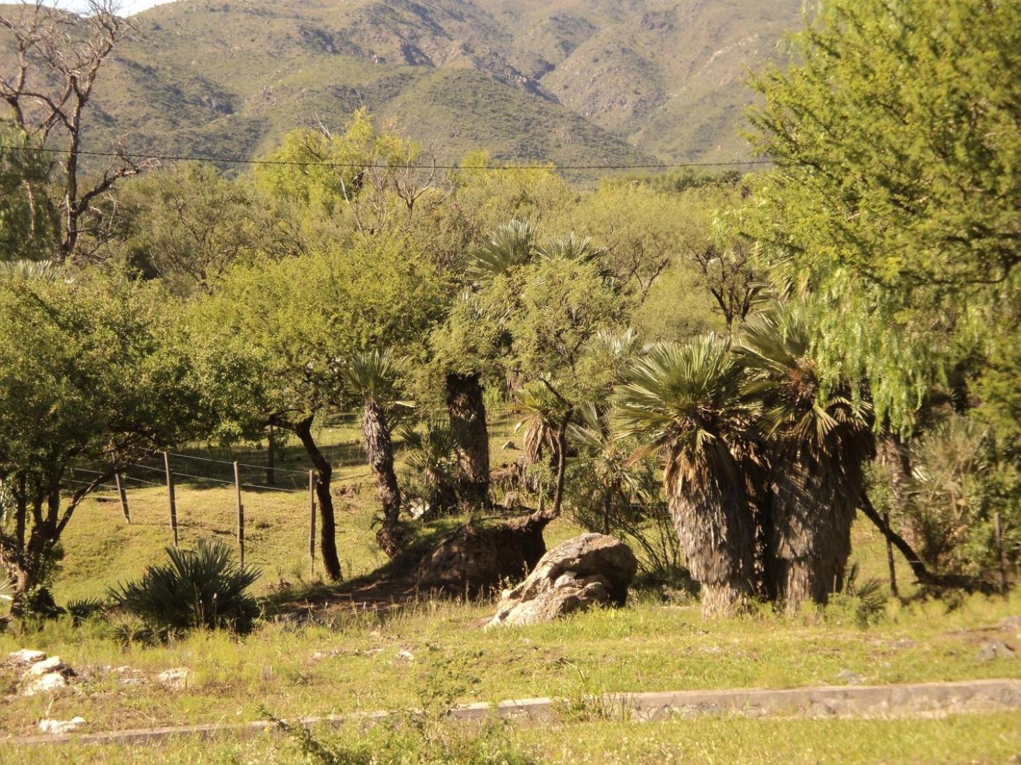 Cabanas en el Jardin Nativo