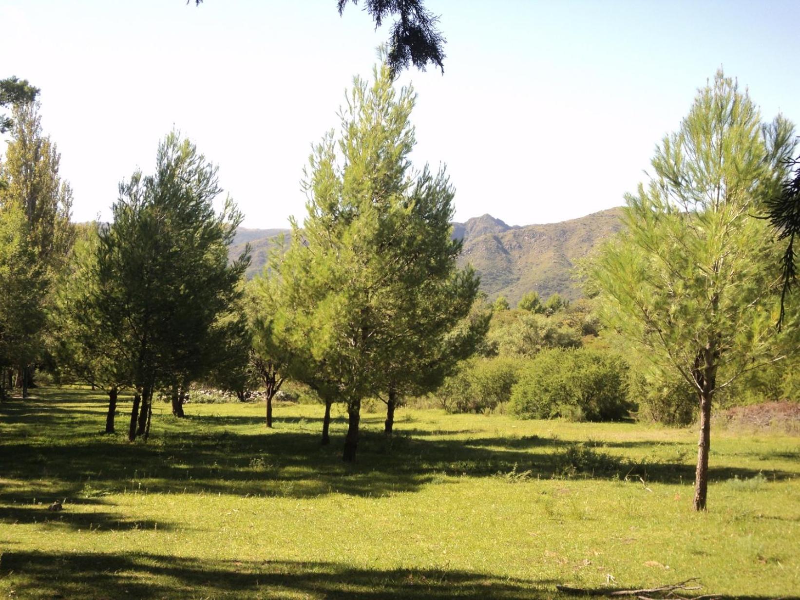 Cabanas en el Jardin Nativo