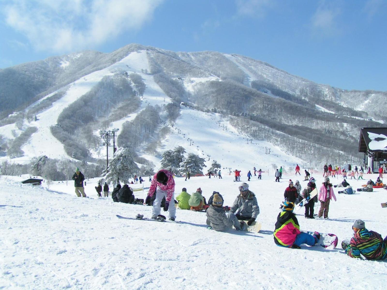 Madarao Elm Pension
