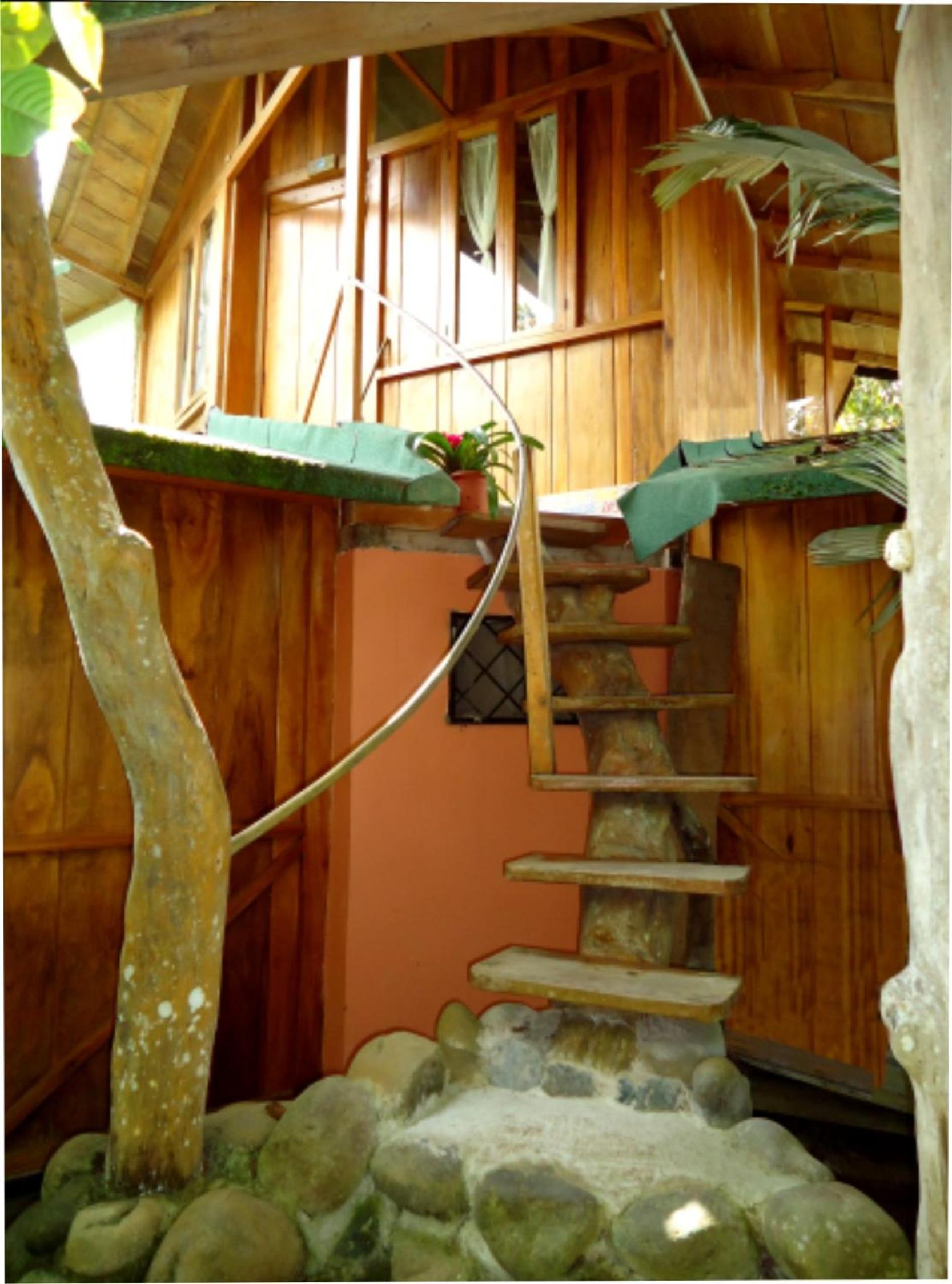 Cabañas Armonía y Jardín de Orquídeas