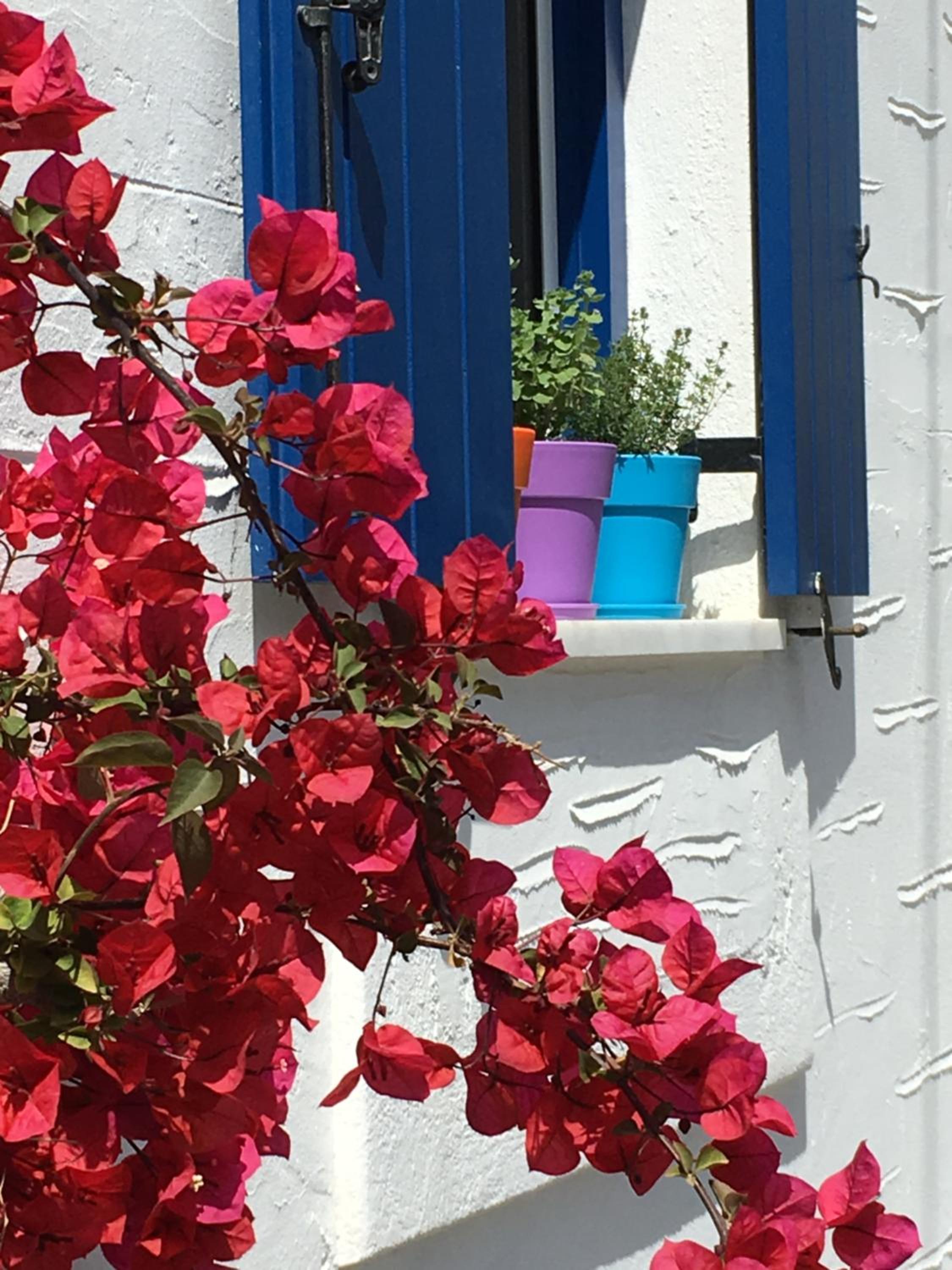 Nostos Studios