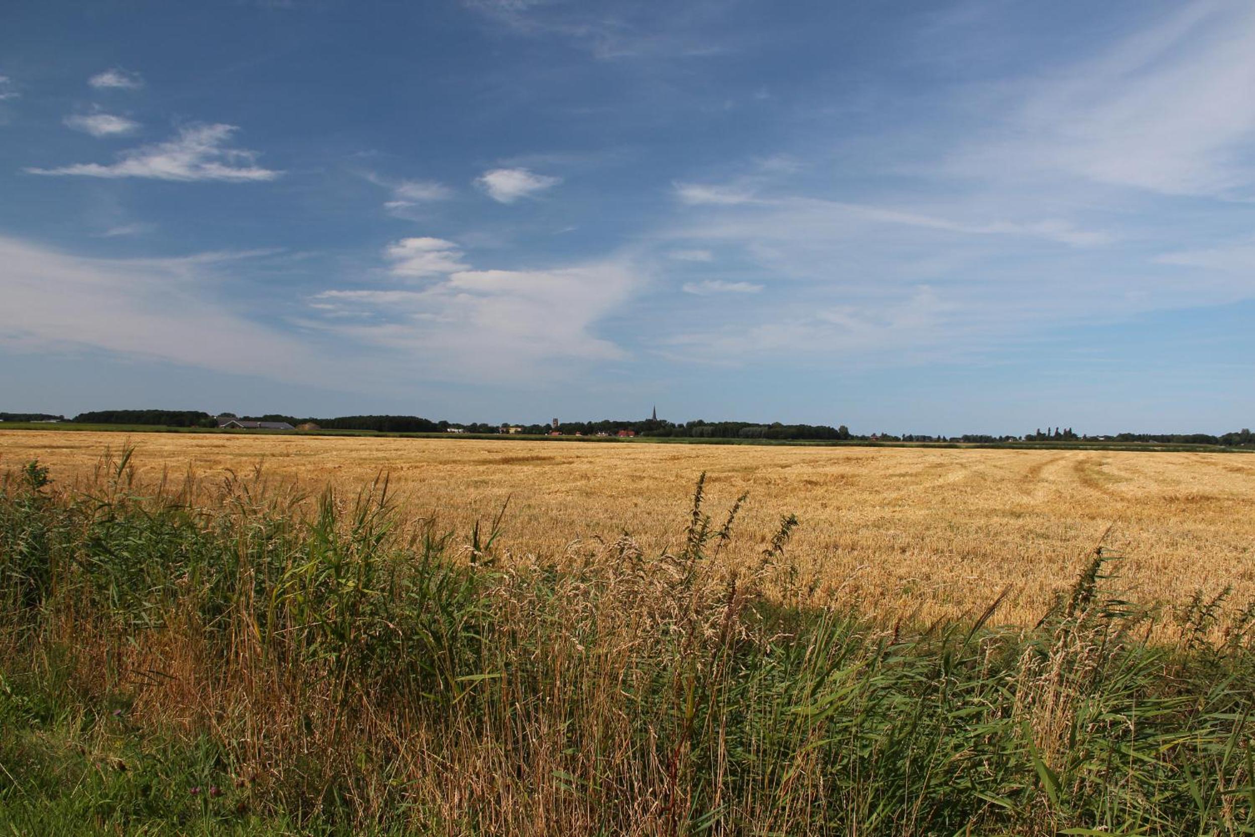 De Horizon, slapen in hutten view 2