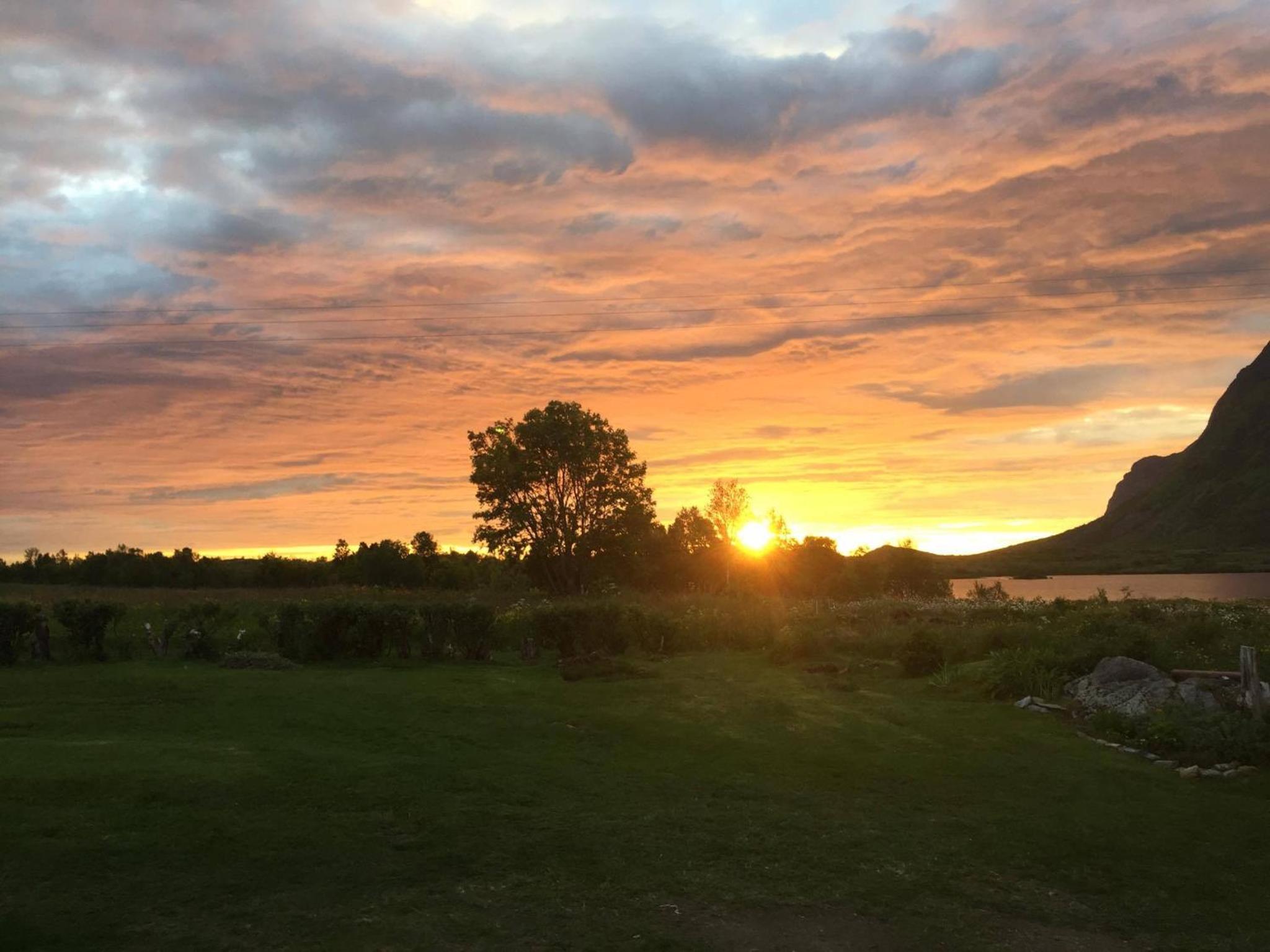 Elstad Farm Lofoten