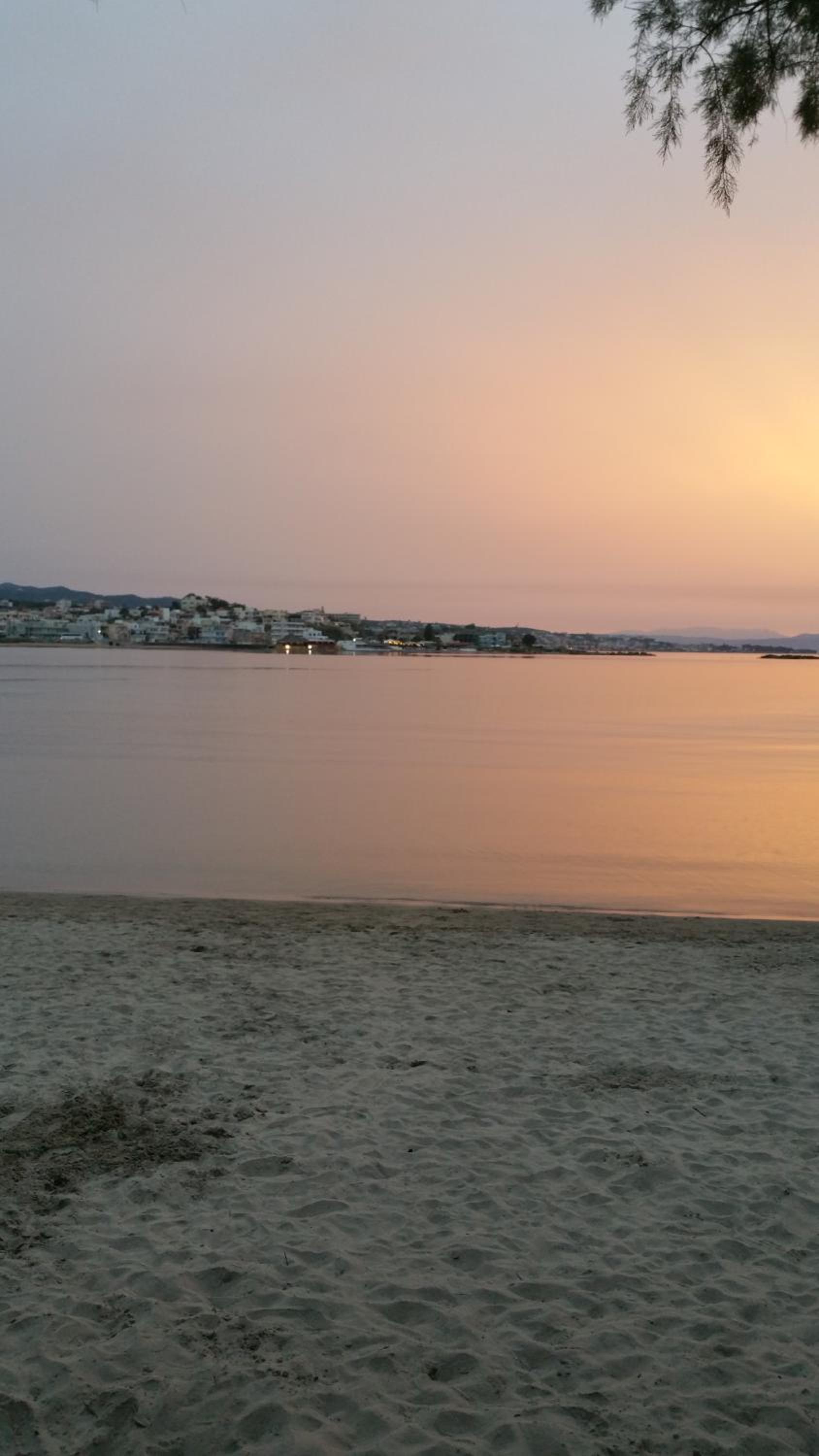 Zinovia