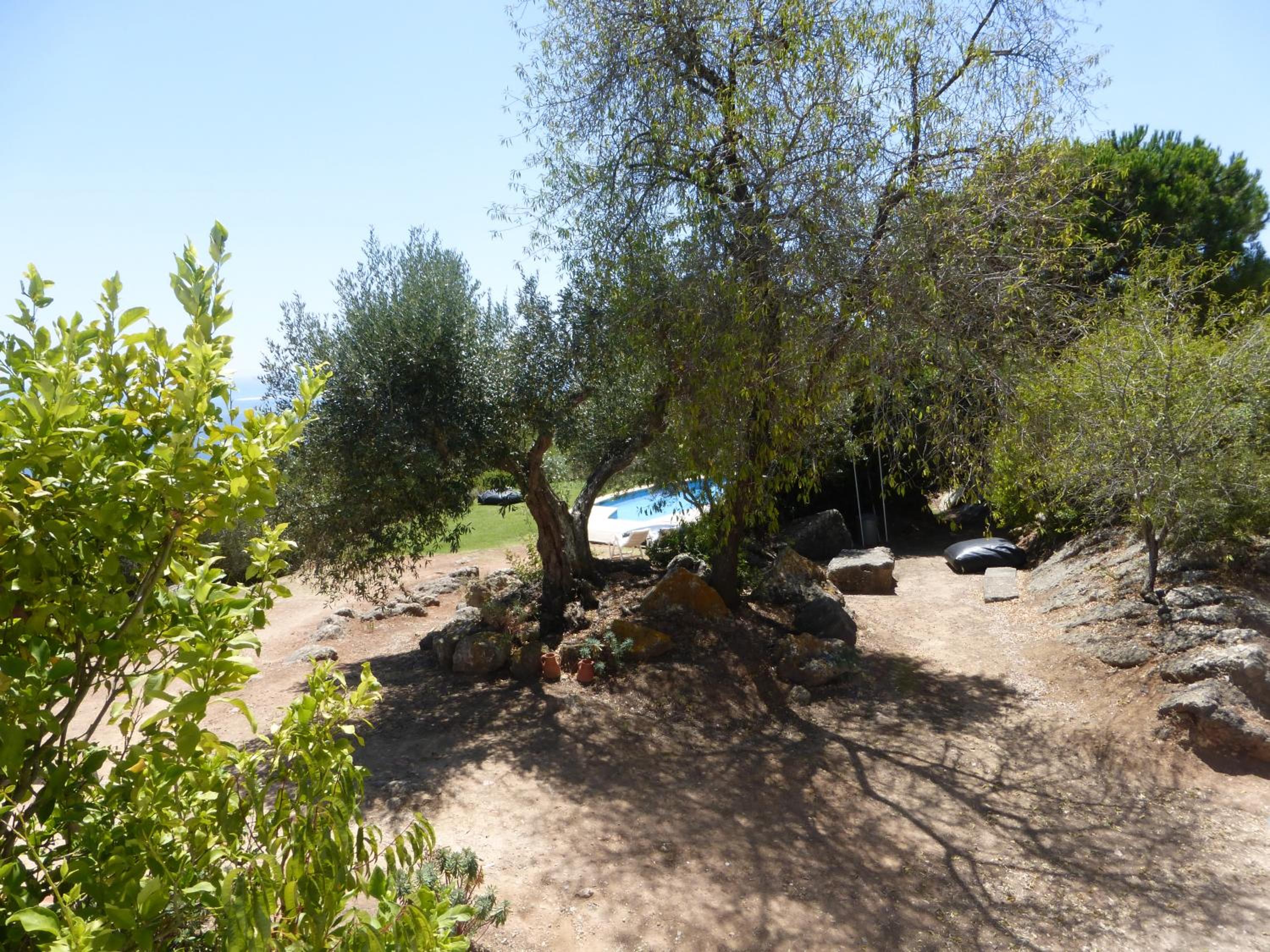 Photo 28
