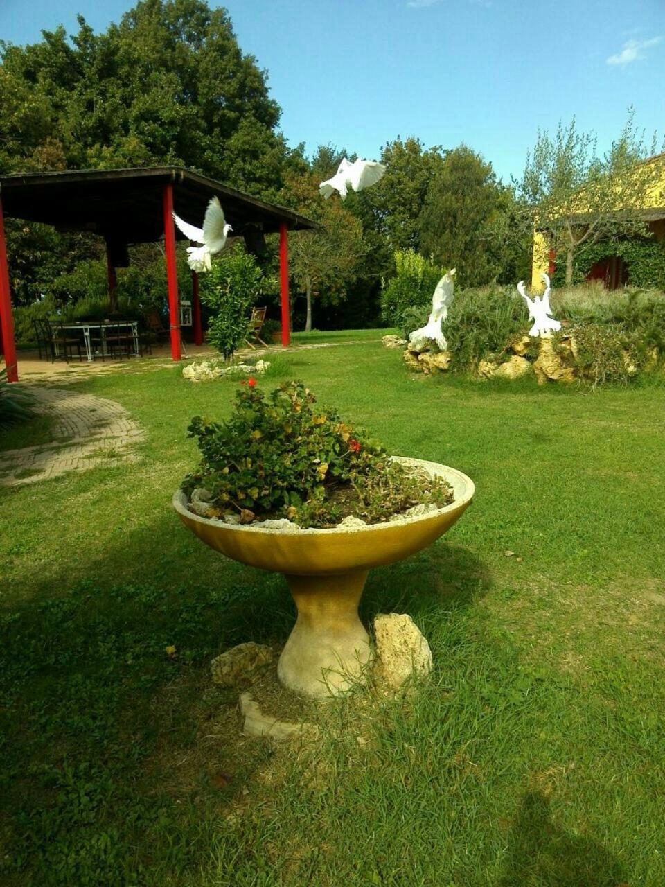 Photo 32