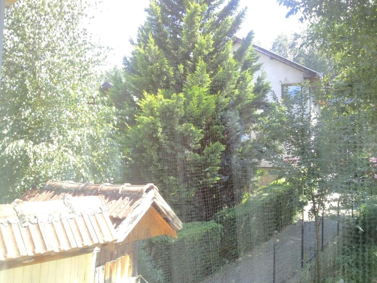 Blue Residence