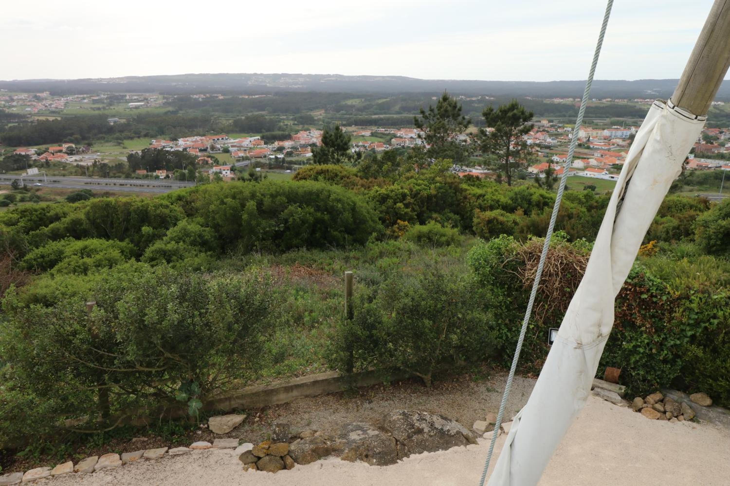 Photo 44