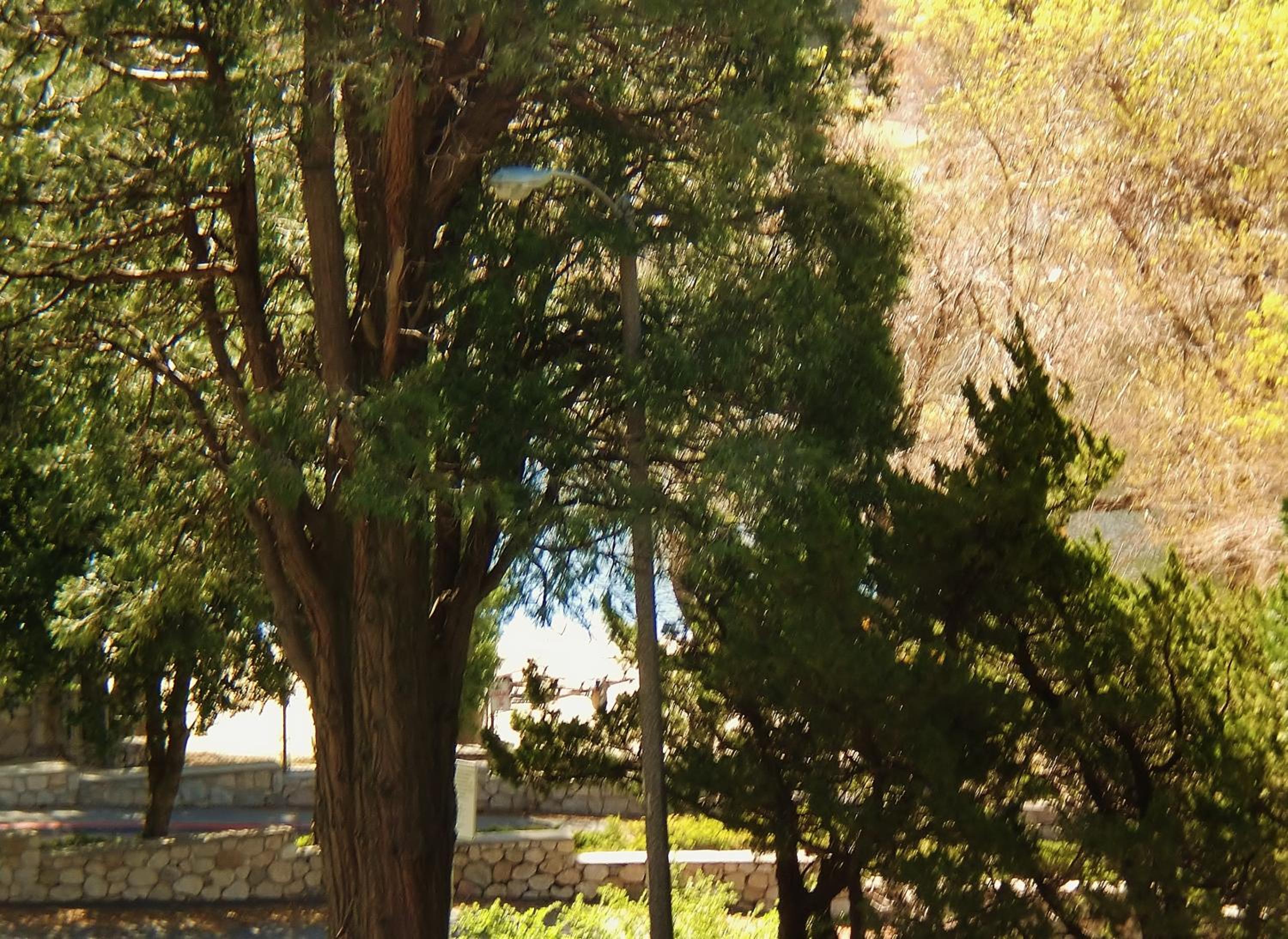 The North Shore Inn