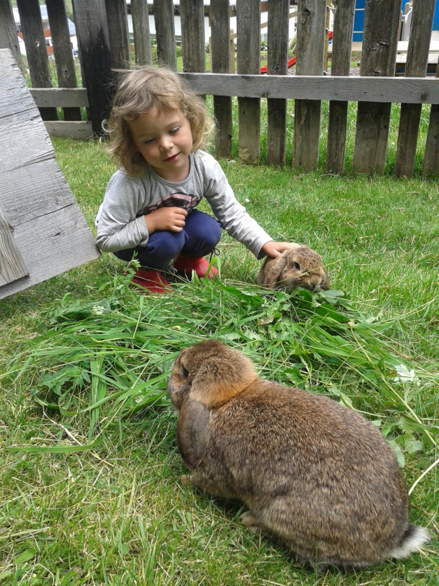 Photo 34