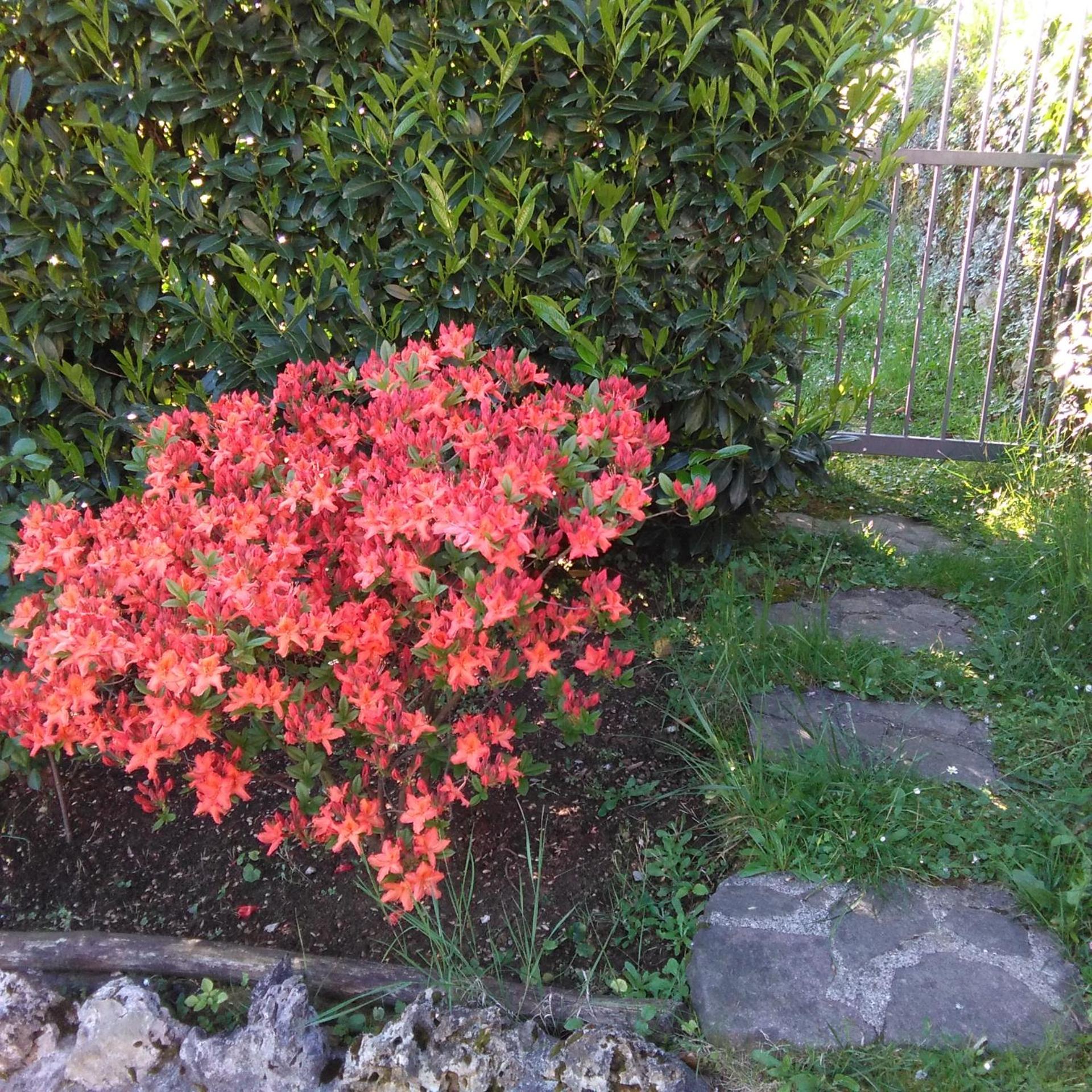 Photo 86