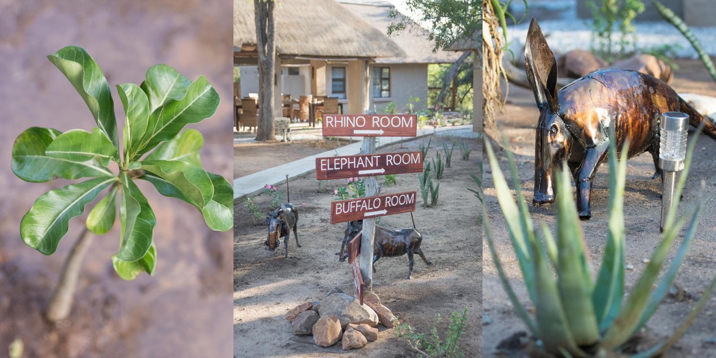Bushbaby River Lodge