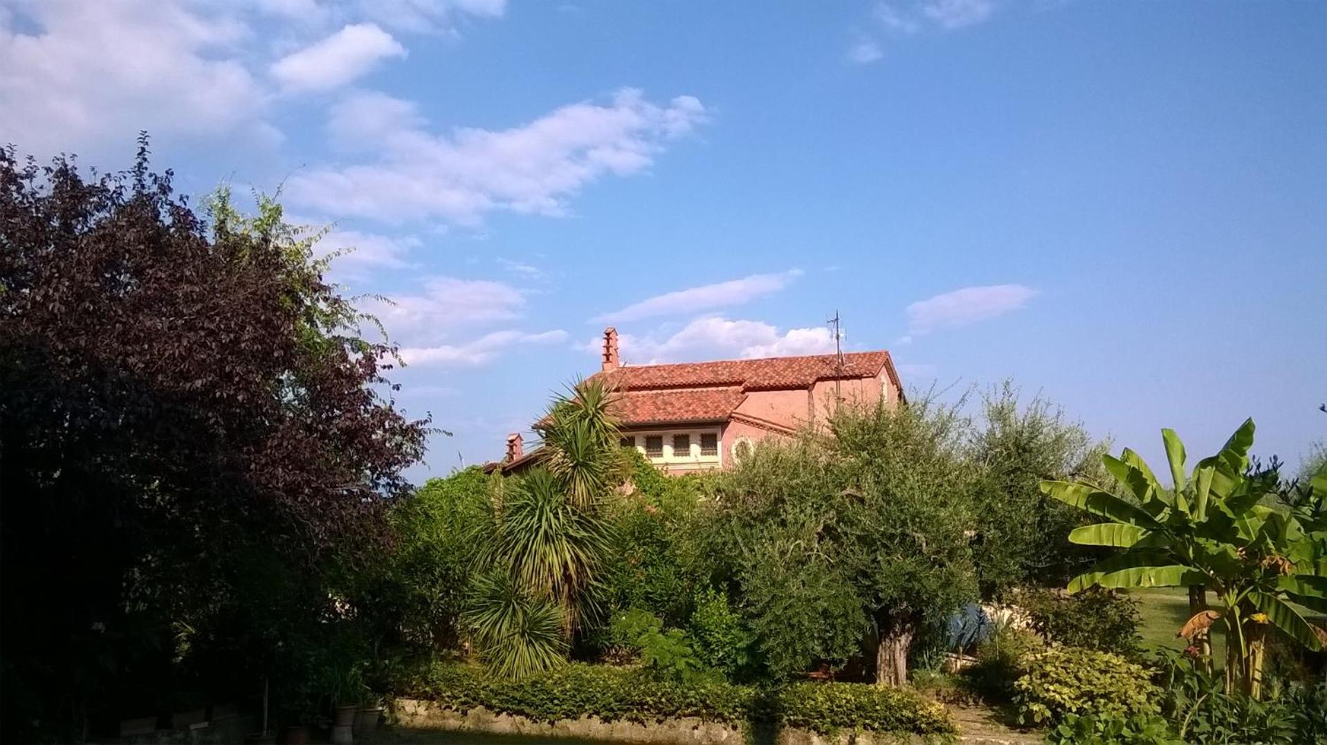 Photo 22