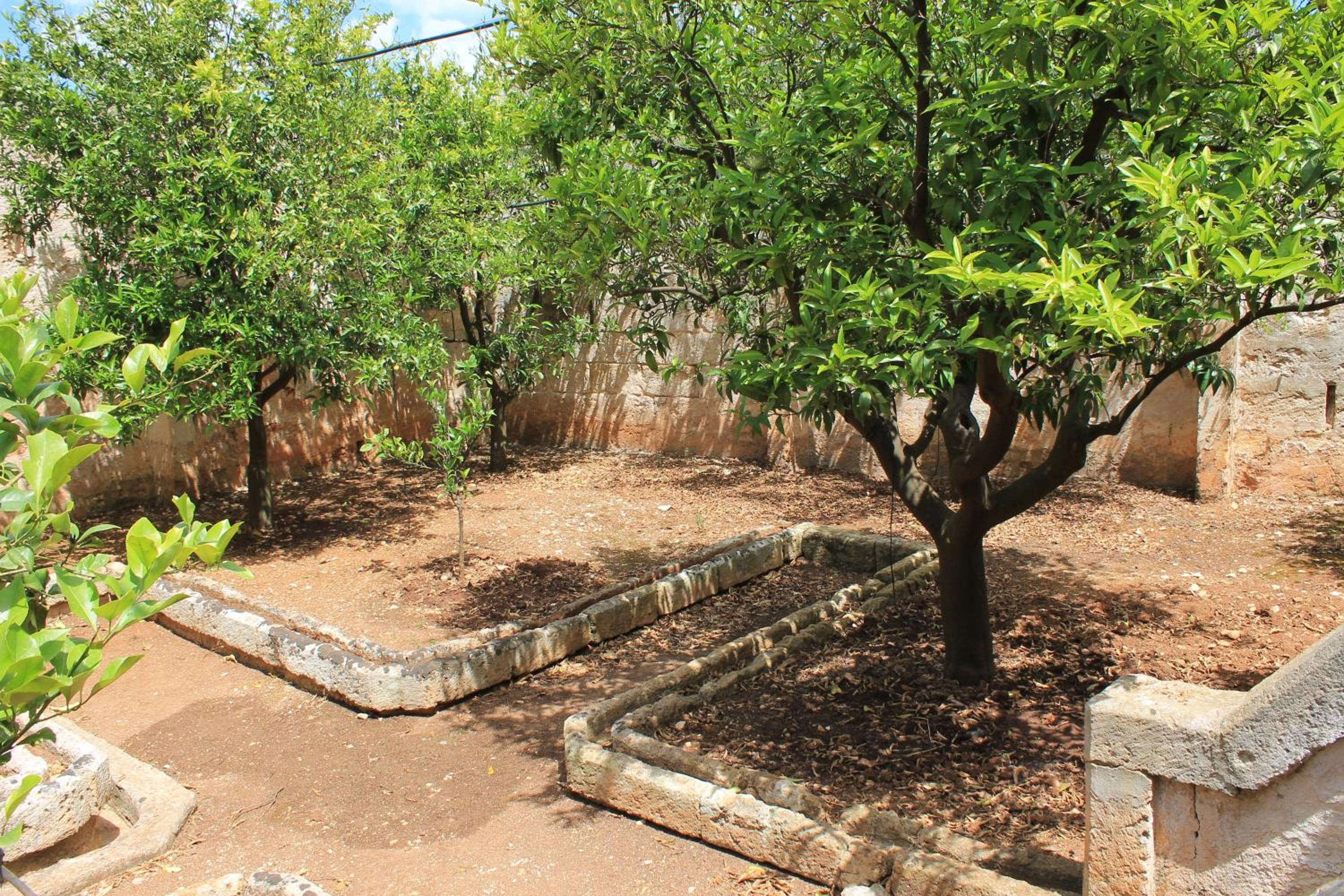Photo 42