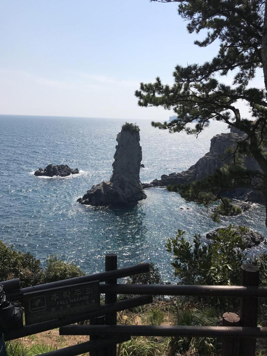 Dreaming Forest Pension Seogwipo