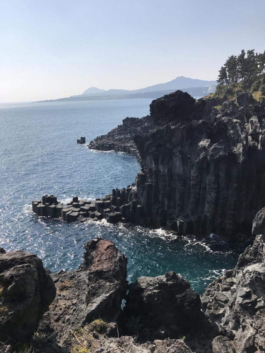 Dreaming Forest Pension Seogwipo