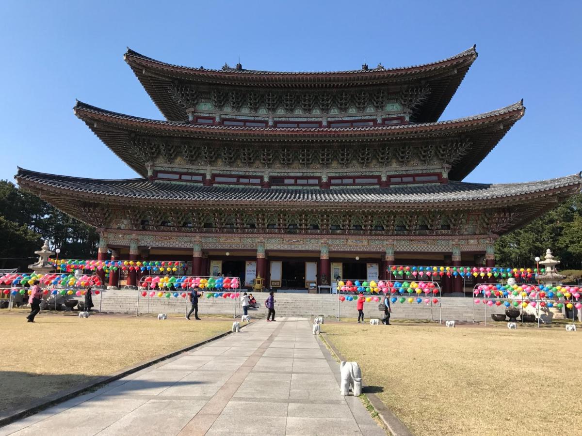 Dreaming Forest Pension Seogwipo