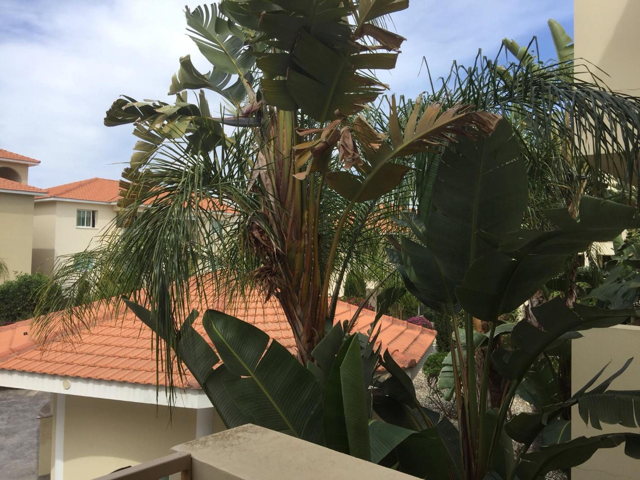 Great Kings Resort Apartment 10 Block 19