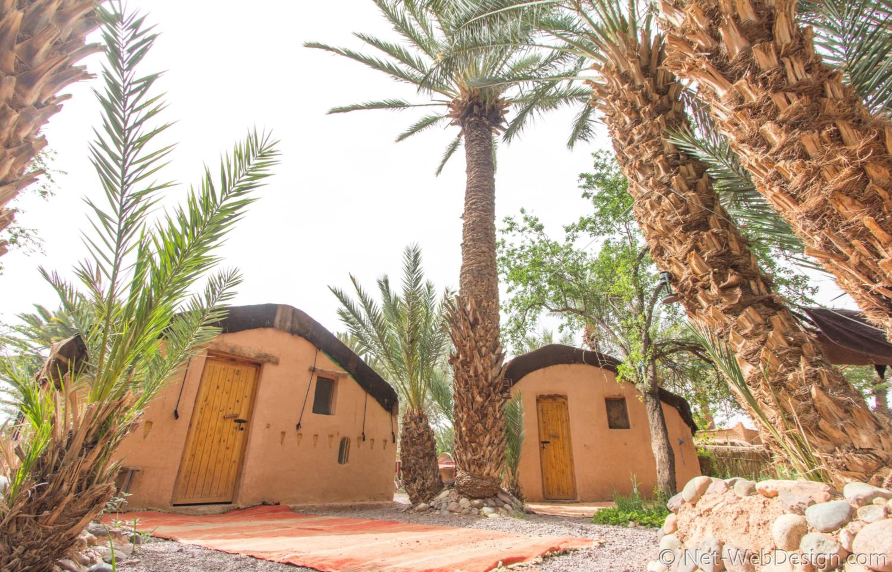 Ecolodge La Palmeraie