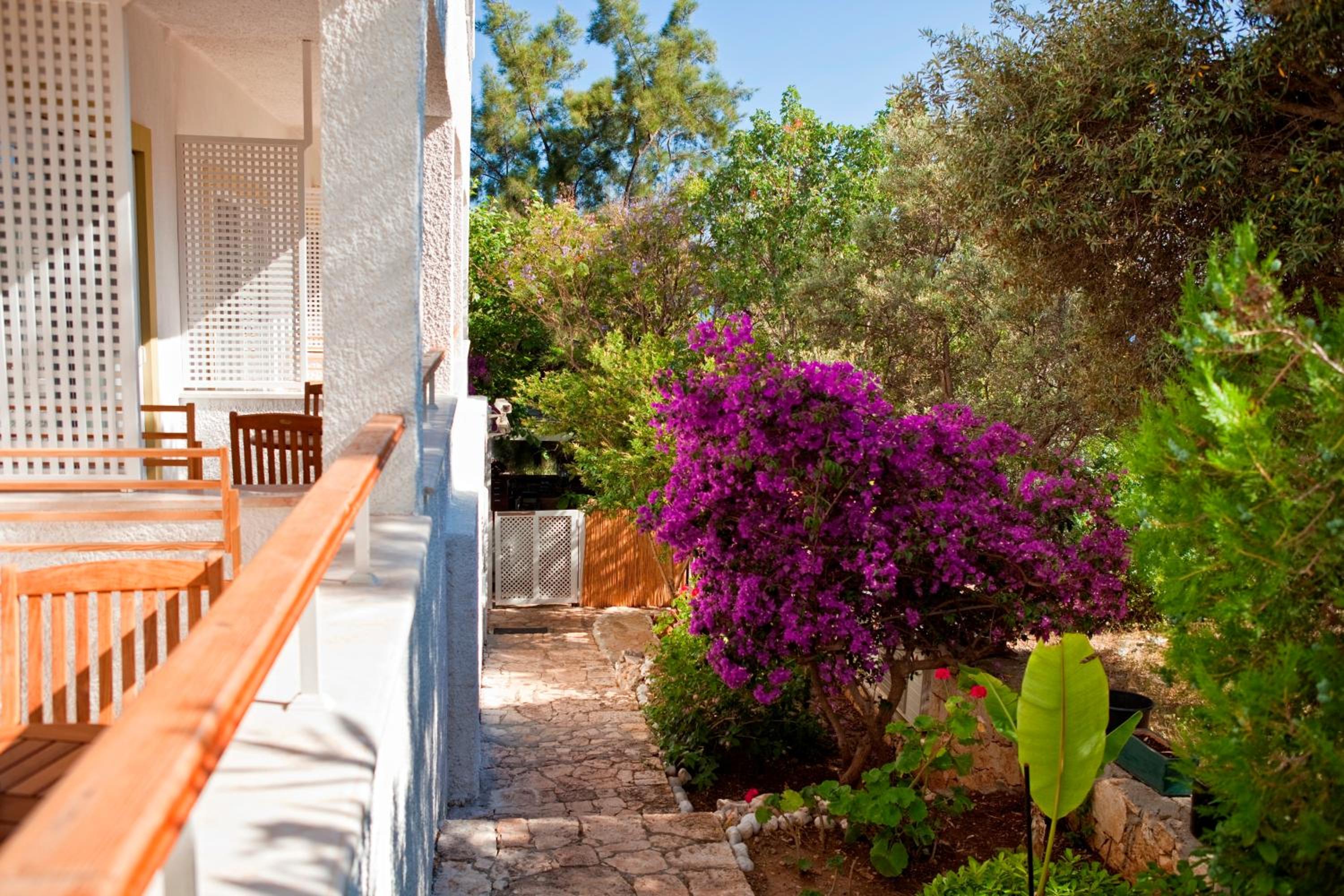 Olea Nova Hotel - Image 70